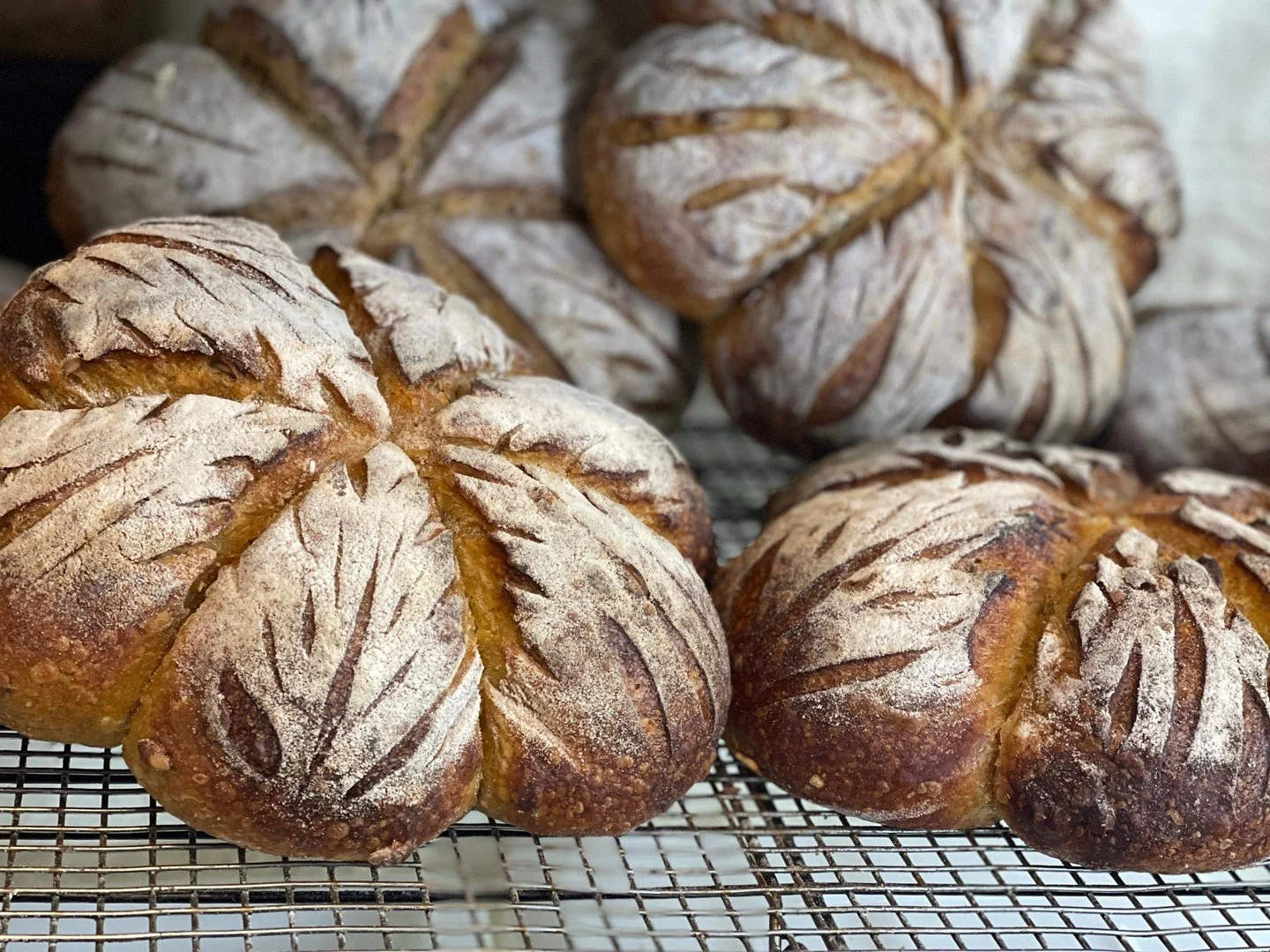 ✨ Vendor Spotlight: John Fletcher | Buffalo Creek Baking Co. ✨⁠
⁠
If you&rsquo;ve lived in Norris for any length of time, you probably already know and love John.⁠
⁠
John has been a chef for over 40 years, cooking in restaurants and venues all over A