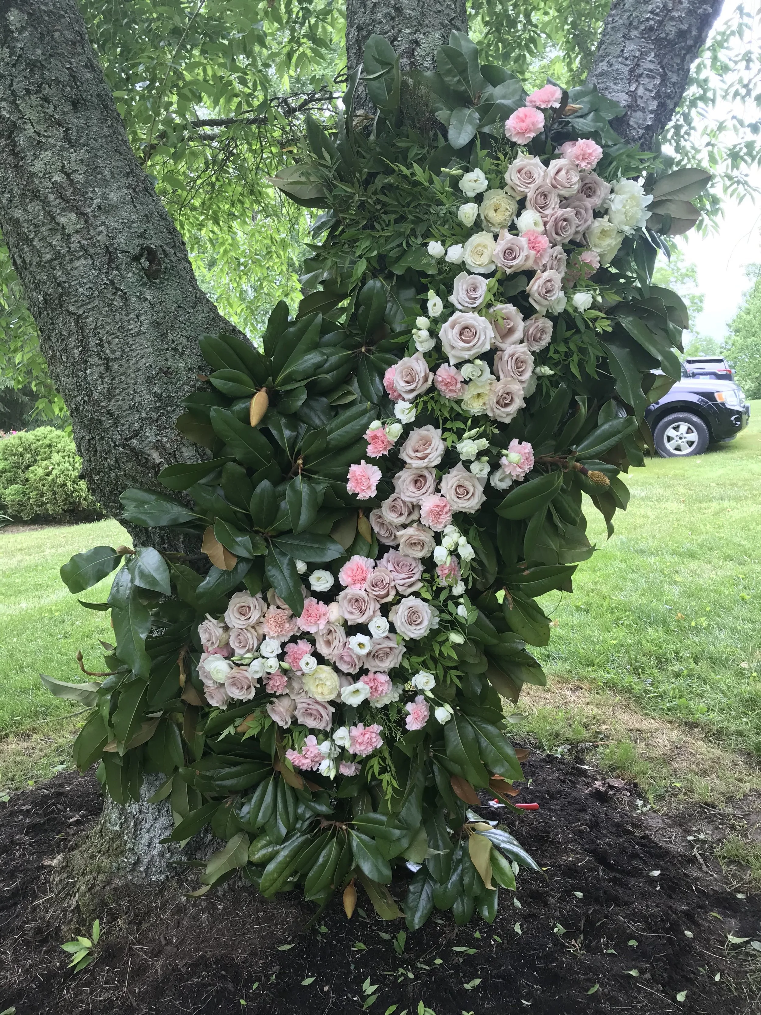 A floral arrangement of pink and white roses and pink carnations attached to a tree with green leaves for an outdoor wedding ceremony.