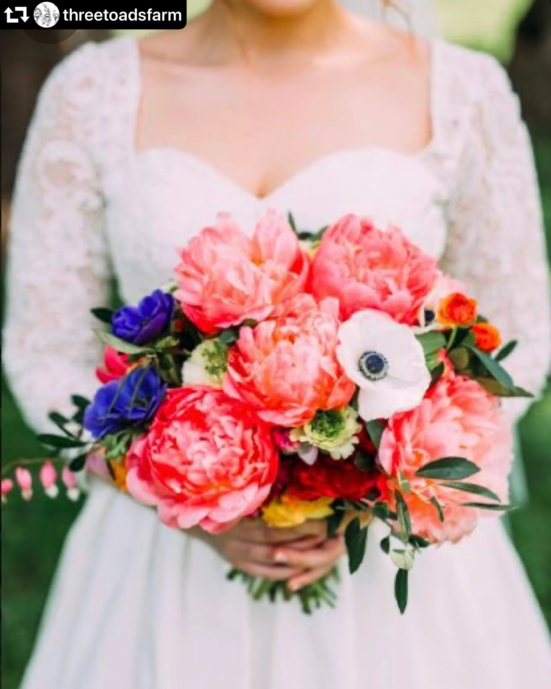 A colorful bouquet of peonies and anemones.