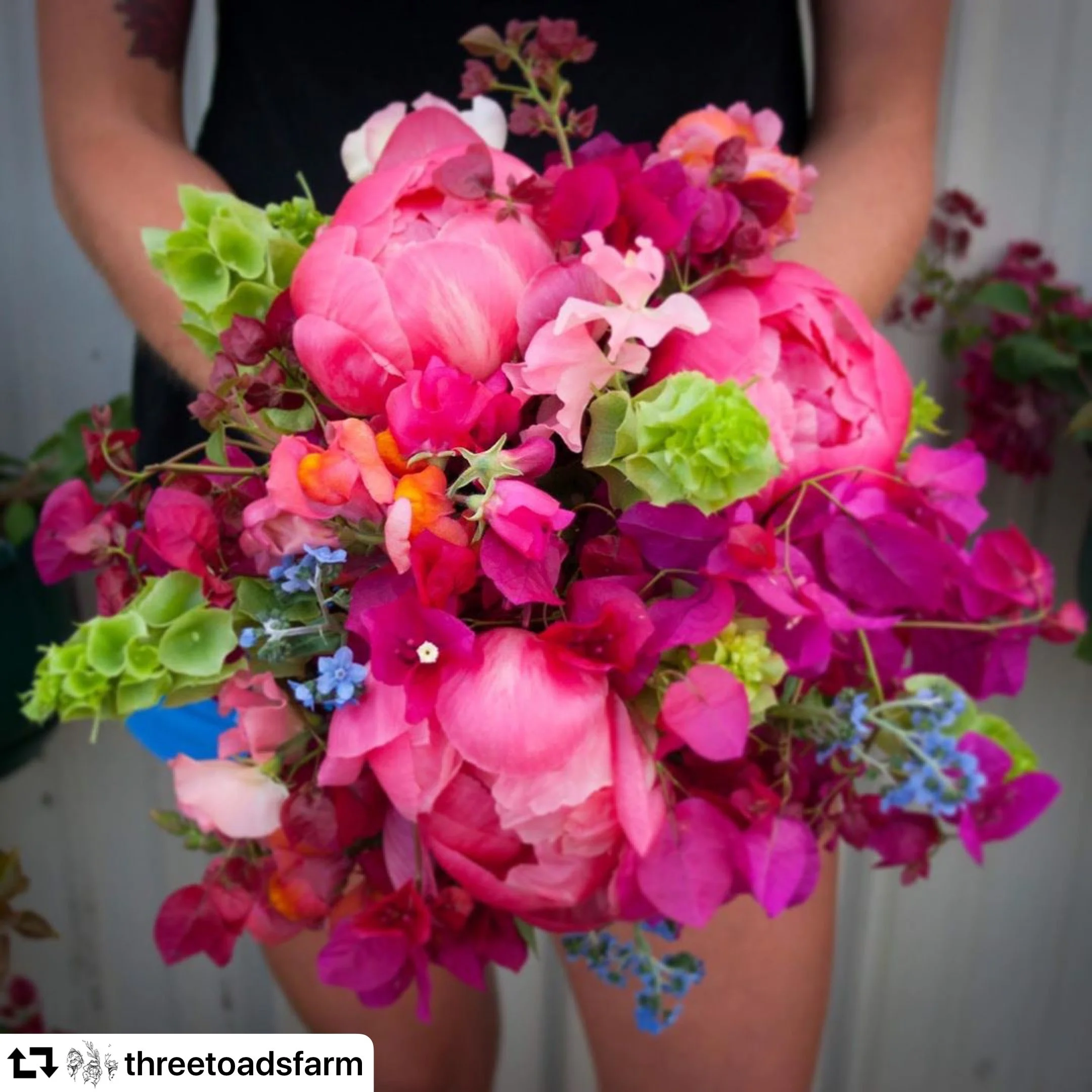 A colorful hand tied bouquet of pink peonies, blue forget me nots, and green bells of Ireland.