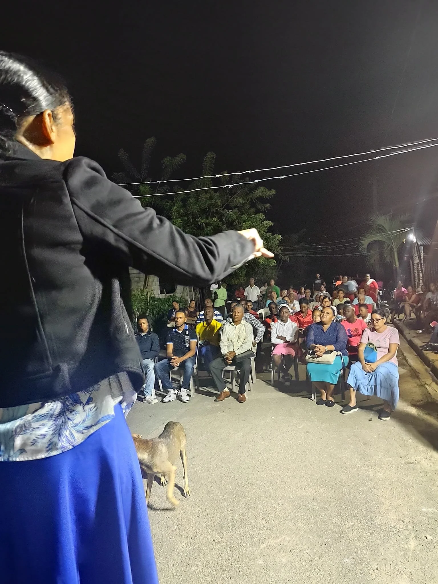 A woman speaking to a large outdoor crowd at night, with a dog beside her and power lines overhead.