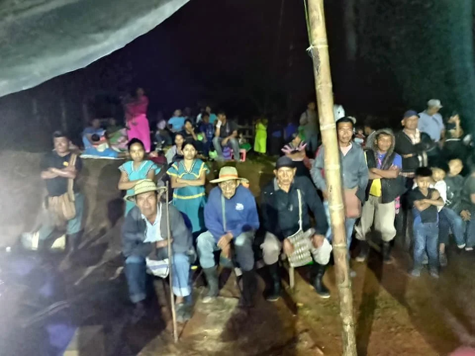 Group of people gathered outdoors at night, some sitting and some standing, under a shelter made from natural materials.