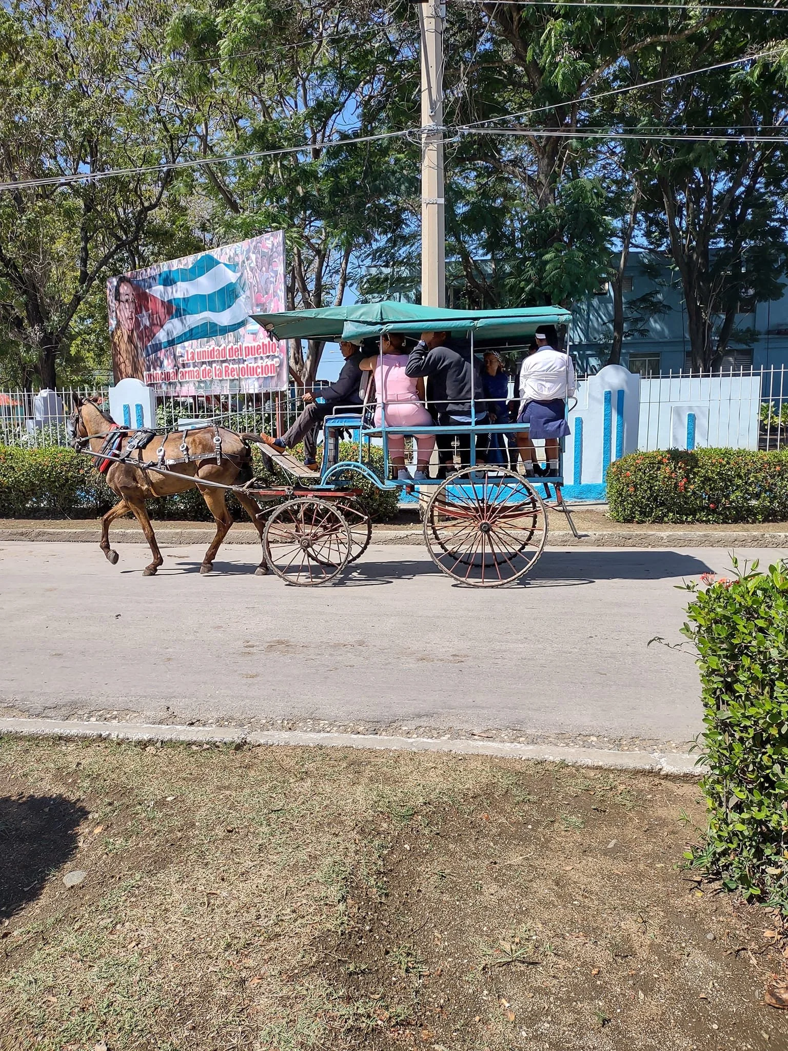 A horse-drawn carriage carrying passengers on a street with trees, a fence, and a building in the background.