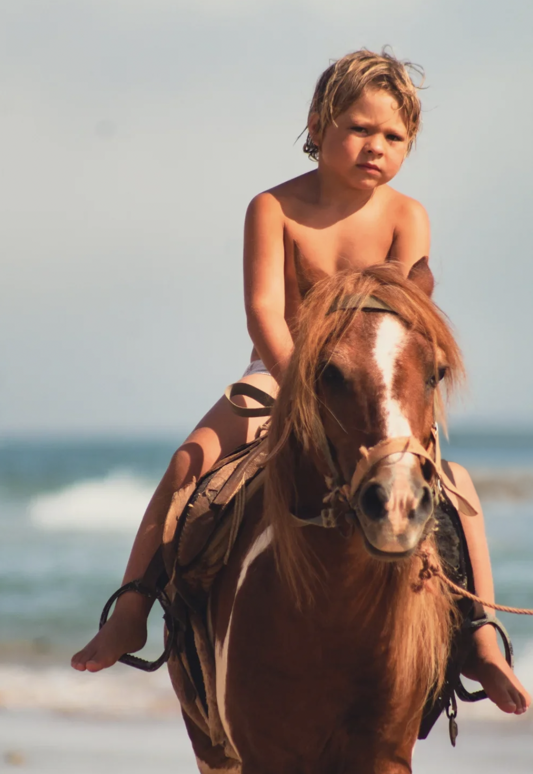 Screenshot 2026-01-22 at 11.38.17 AM.png