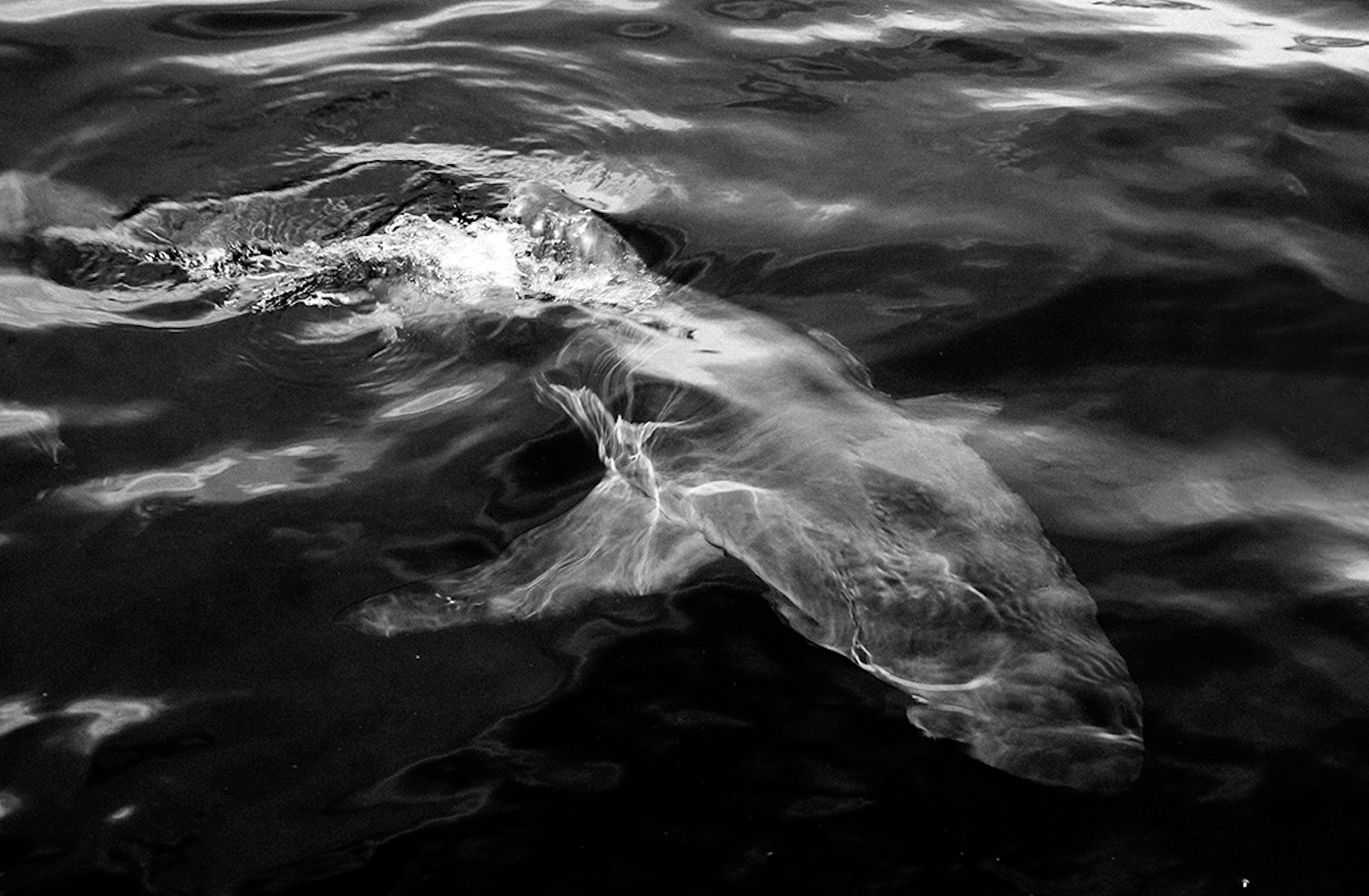 Screenshot 2026-01-14 at 3.35.01 PM.png