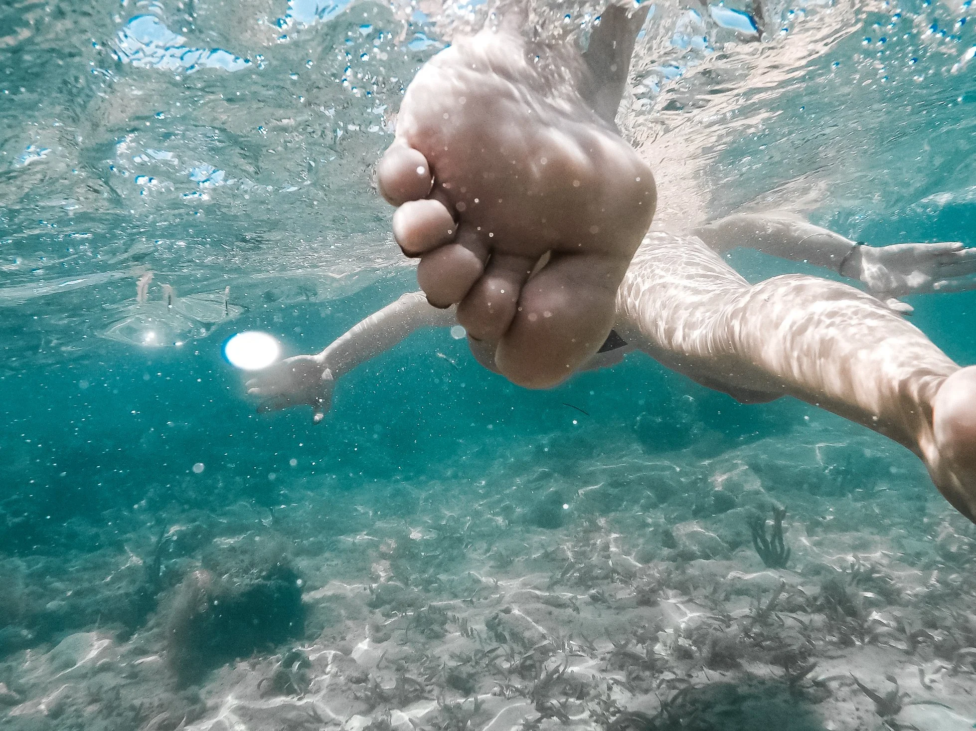 Screen Shot 2017-02-22 at 4.52.06 PM.jpg