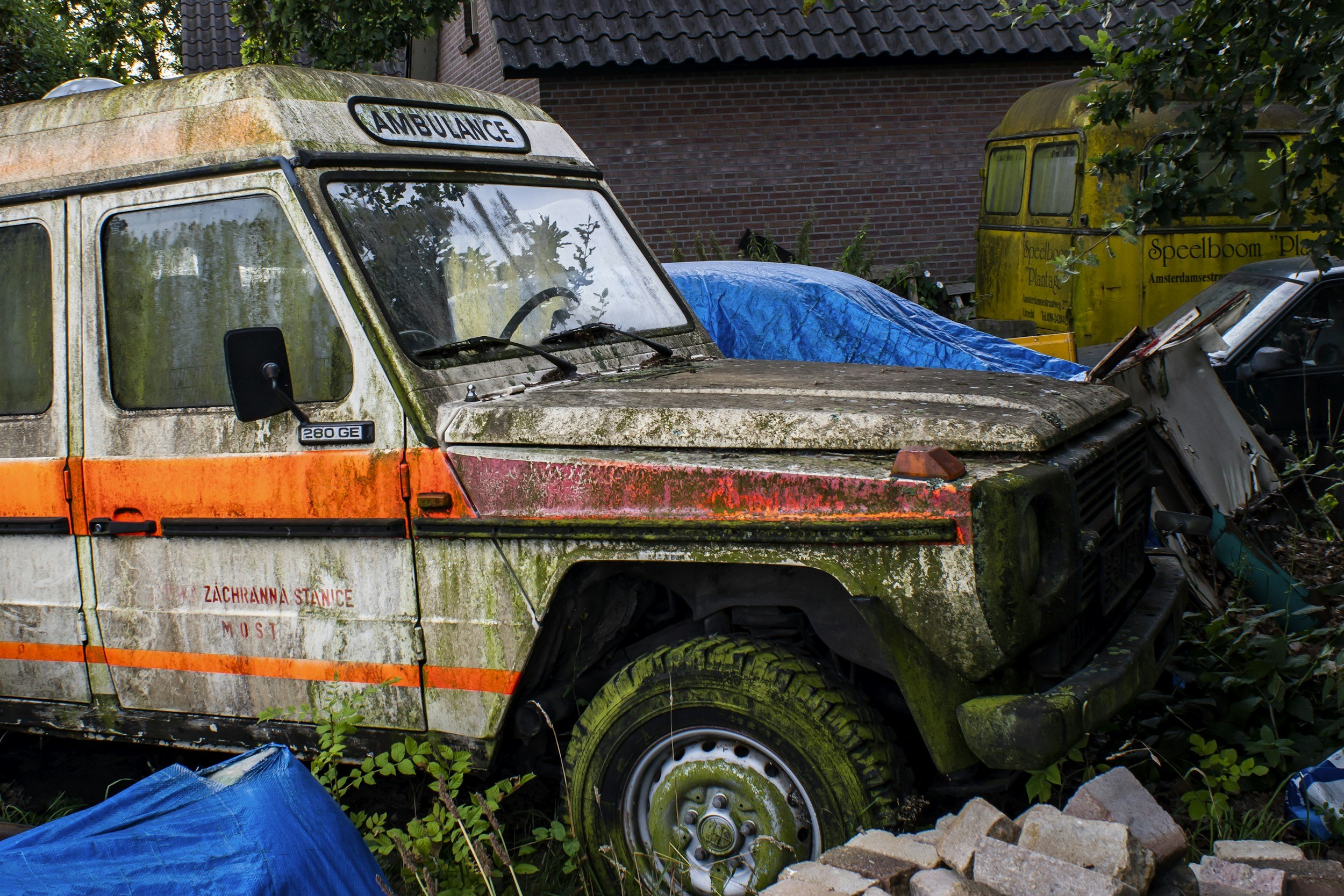 Alter, verrosteter Krankenwagen mit Moos bedeckt, im Freien, umgeben von Pflanzen, Steinen und weiteren alten Fahrzeugen.