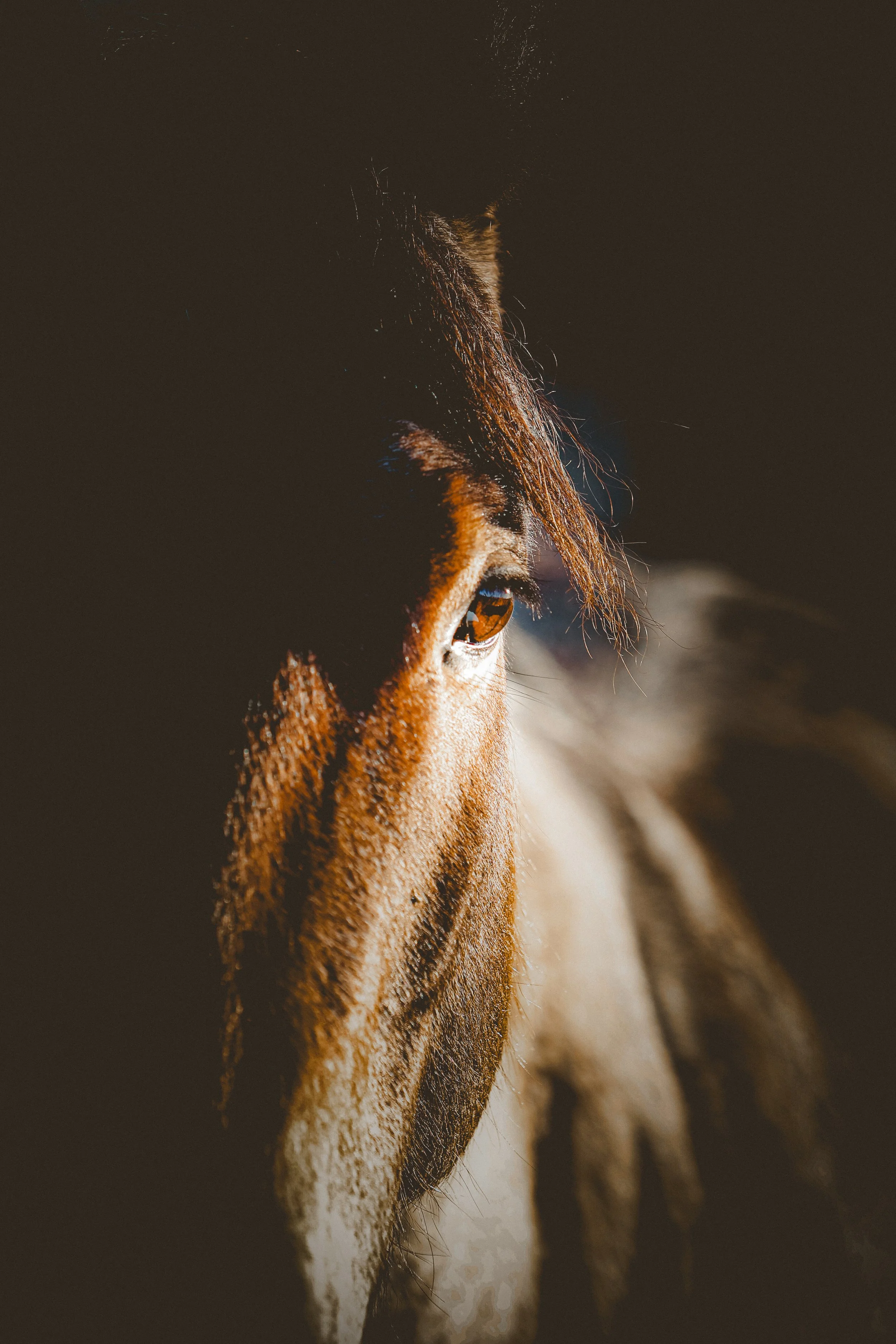 _MG_2254©AshleyCoates.jpg