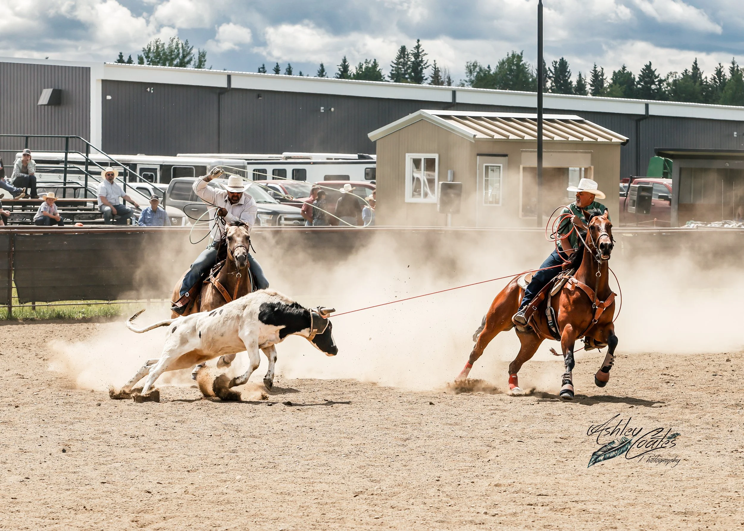 _MG_5486©AshleyCoates.jpg