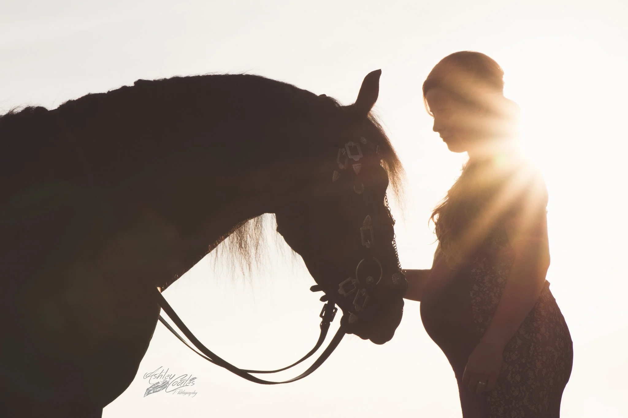 IMG_2232 © Ash Designs & Photography.jpg