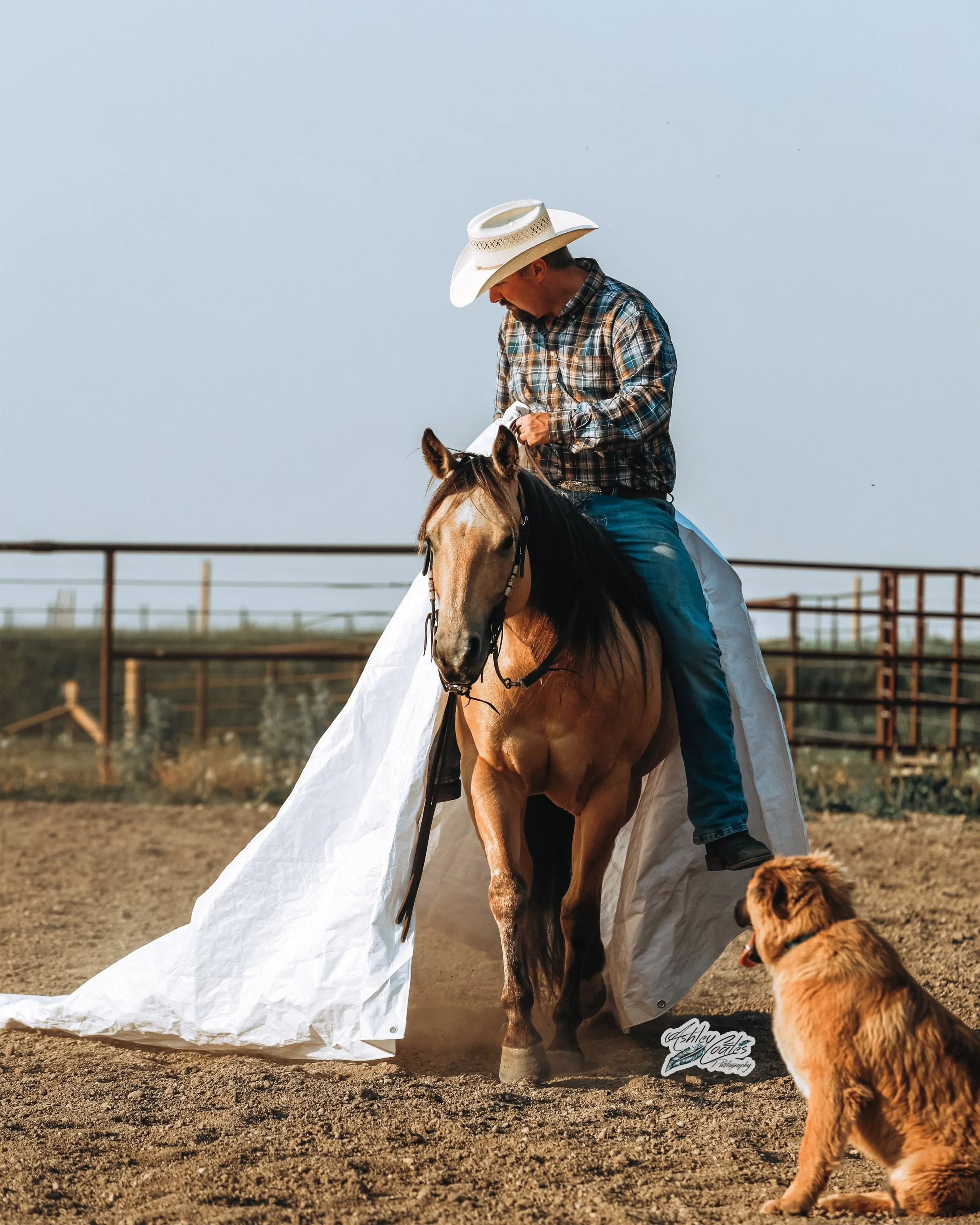 8x10_3567©AshleyCoates.jpg
