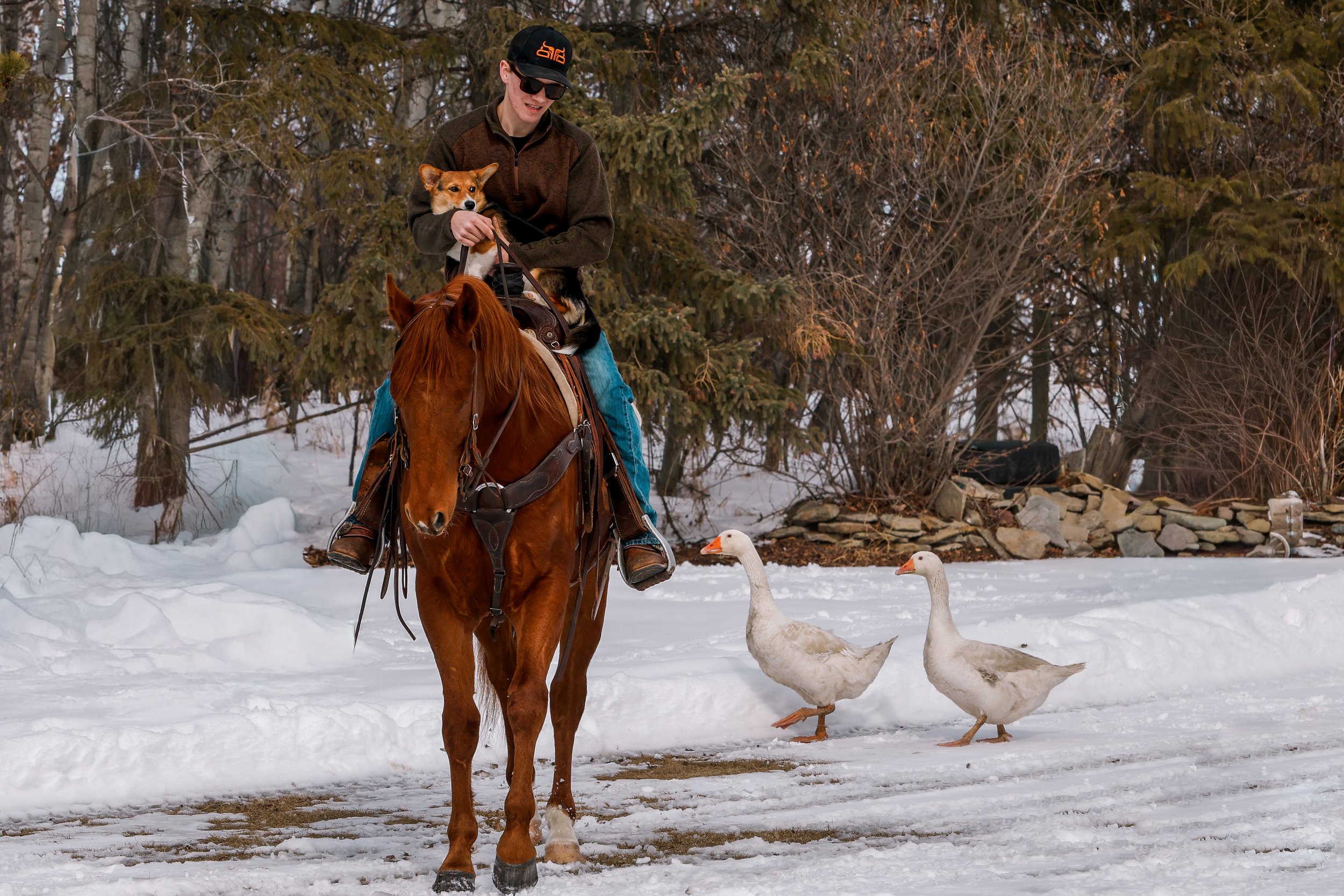 _MG_4971©AshleyCoates-2.jpg
