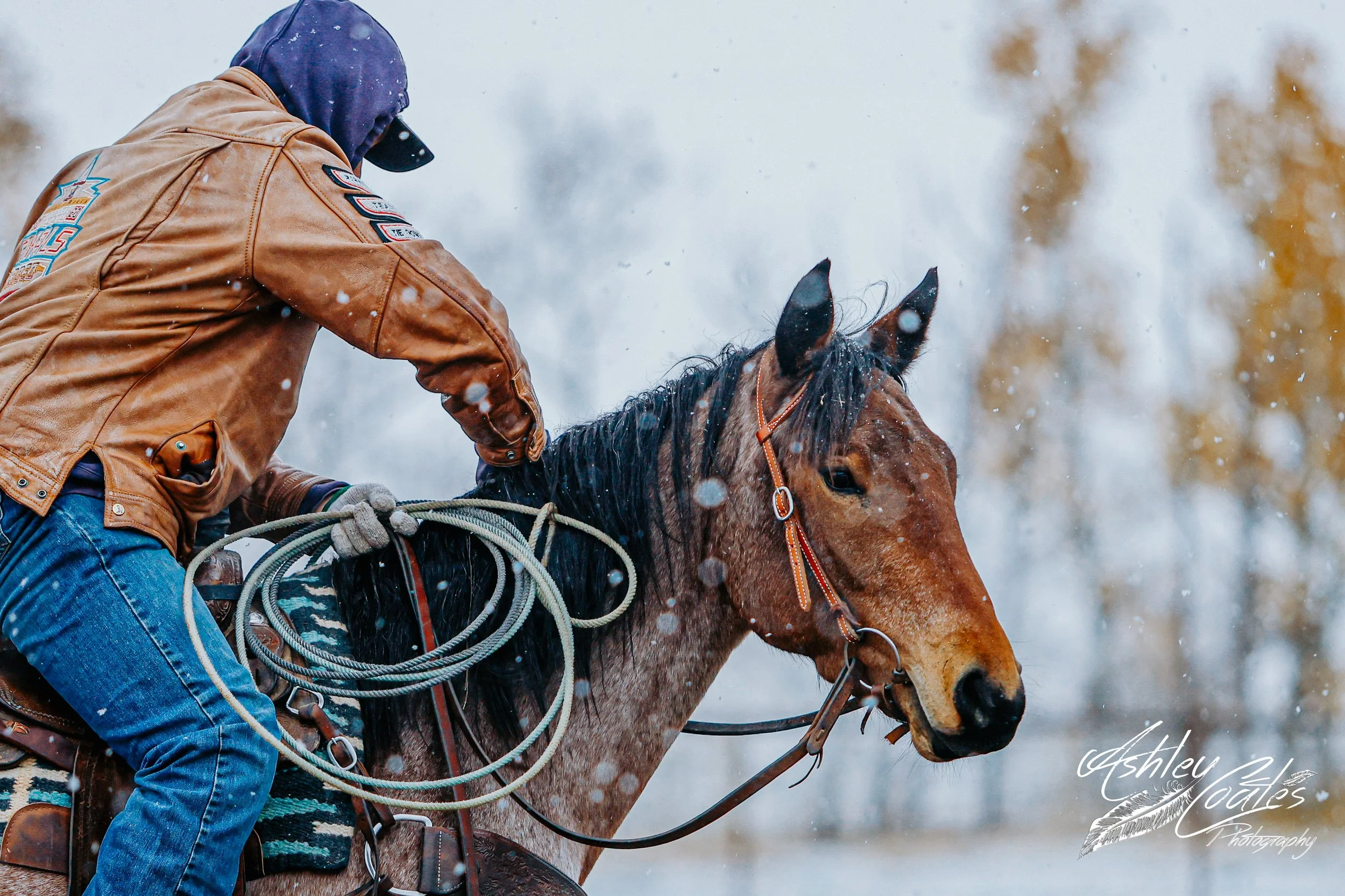 _MG_0785©AshleyCoates-2.jpg