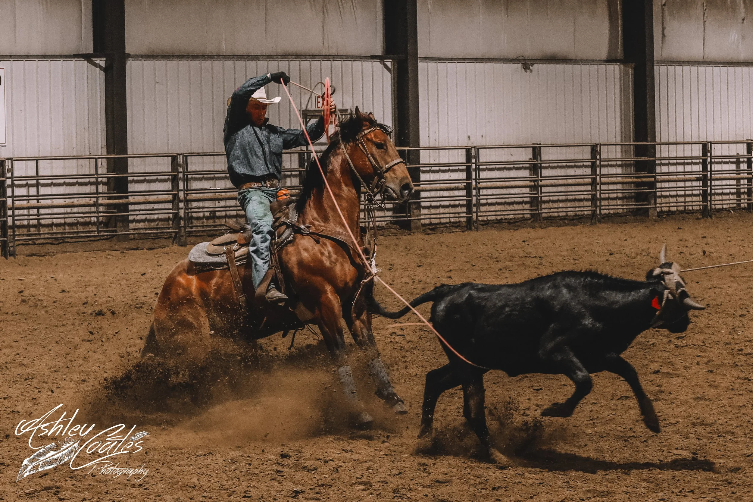 _MG_2421©AshleyCoates.jpg