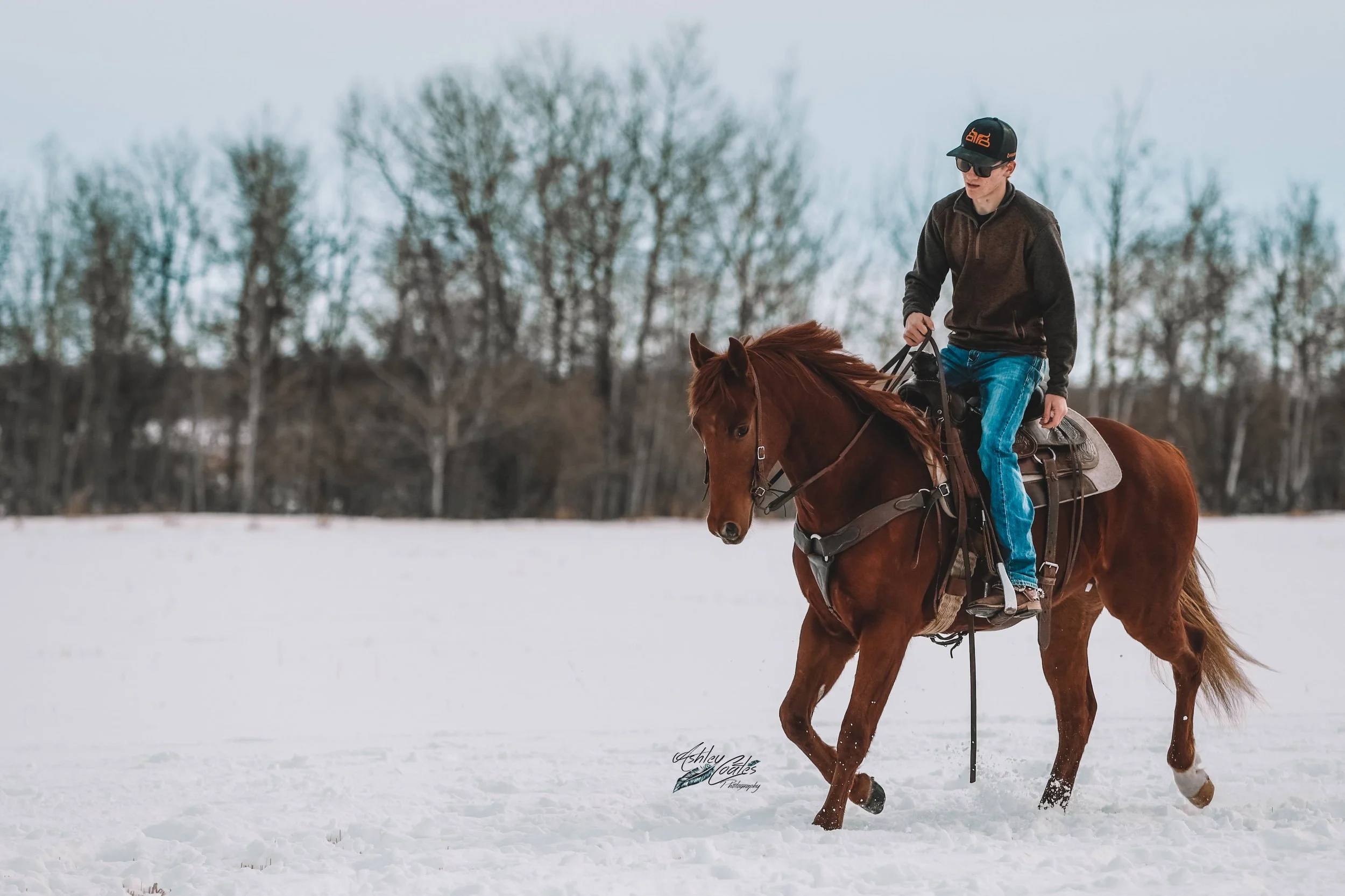 _MG_4724©AshleyCoates.jpg