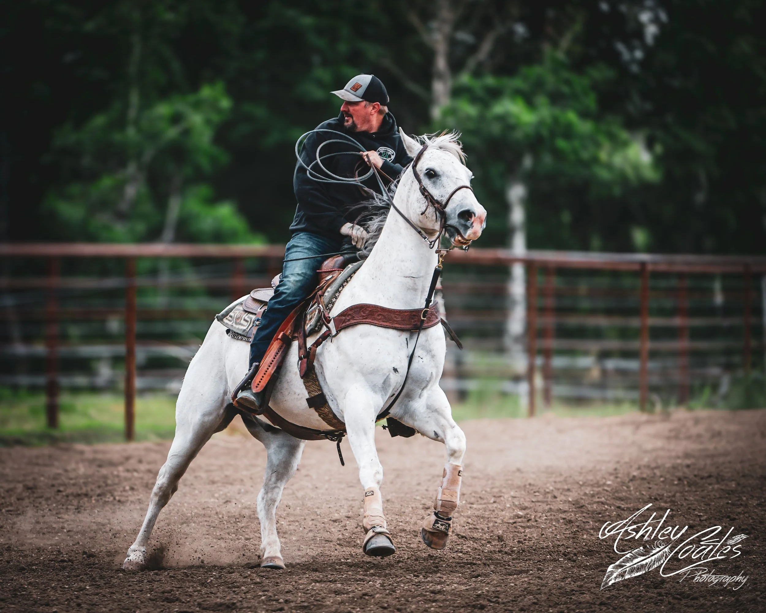 _MG_4617©AshleyCoates.jpg