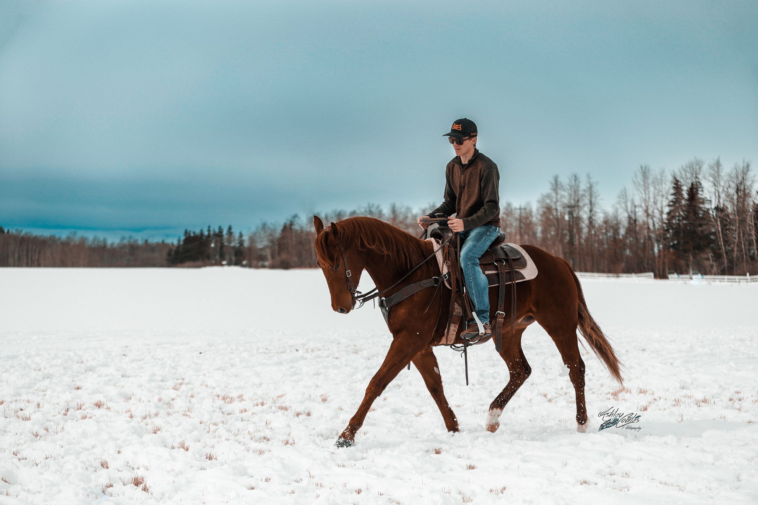 _MG_4903©AshleyCoates.jpg