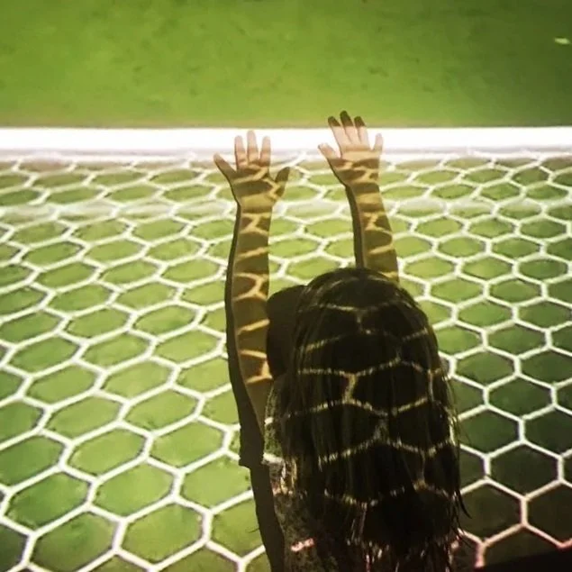 	
Photographie © Héloïse Godet Verdejo - Diptyque (sans titre), 2026, BY-NC-ND