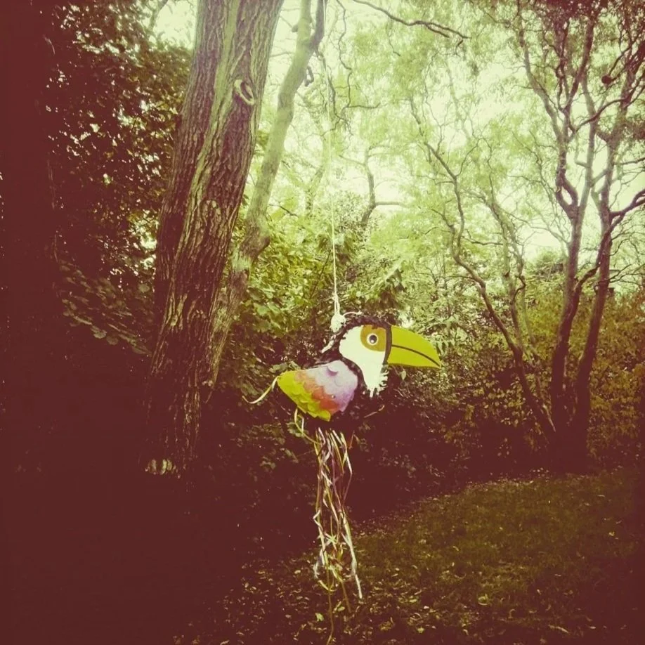 	
Photographie © Héloïse Godet Verdejo - Diptyque (sans titre), 2026, BY-NC-ND