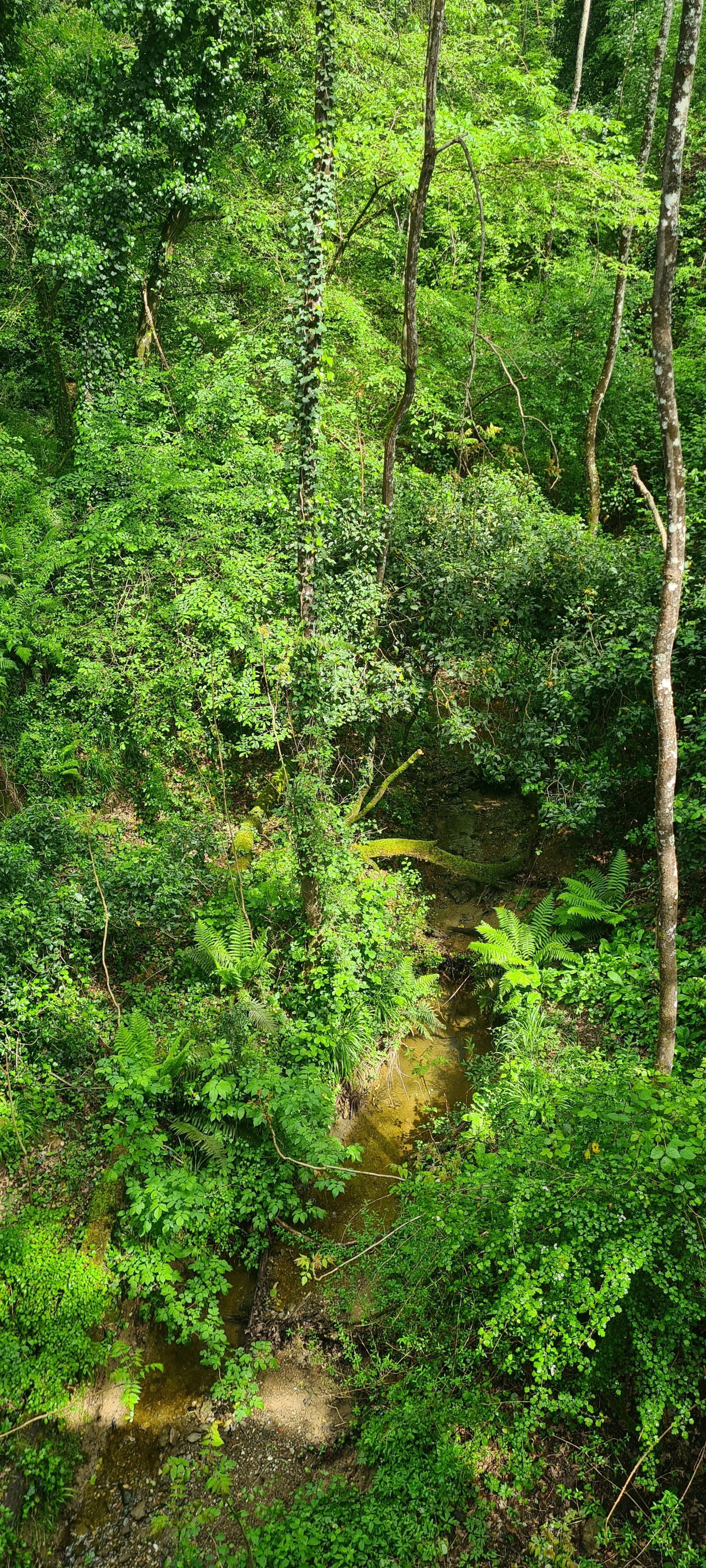 	
Photographie © Héloïse Godet Verdejo - Diptyque (sans titre), 2026, BY-NC-ND