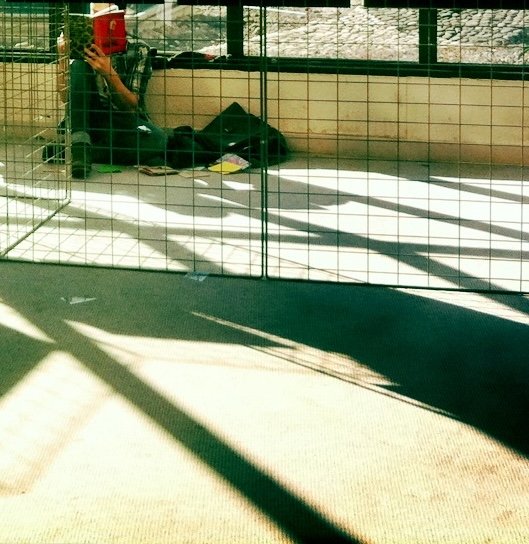 	
Photographie © Héloïse Godet Verdejo - Diptyque (sans titre), 2026, BY-NC-ND