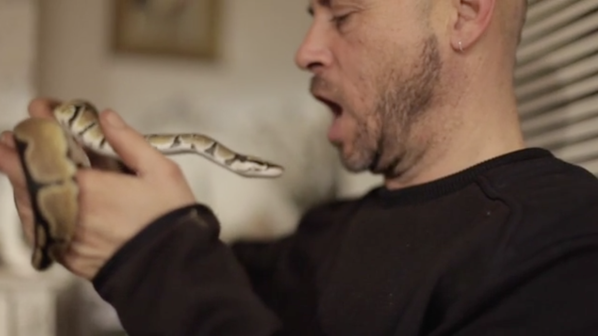 Un homme tient un serpent python dans ses mains, semblant surpris.