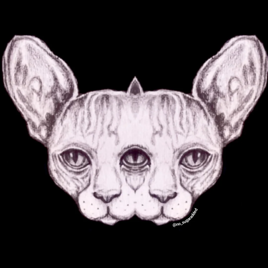 cat sticker.jpg