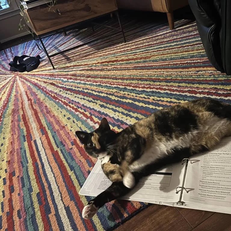 Calico cat lying on an open binder on a colorful striped rug, with a wooden piece of furniture and a backpack in the background.