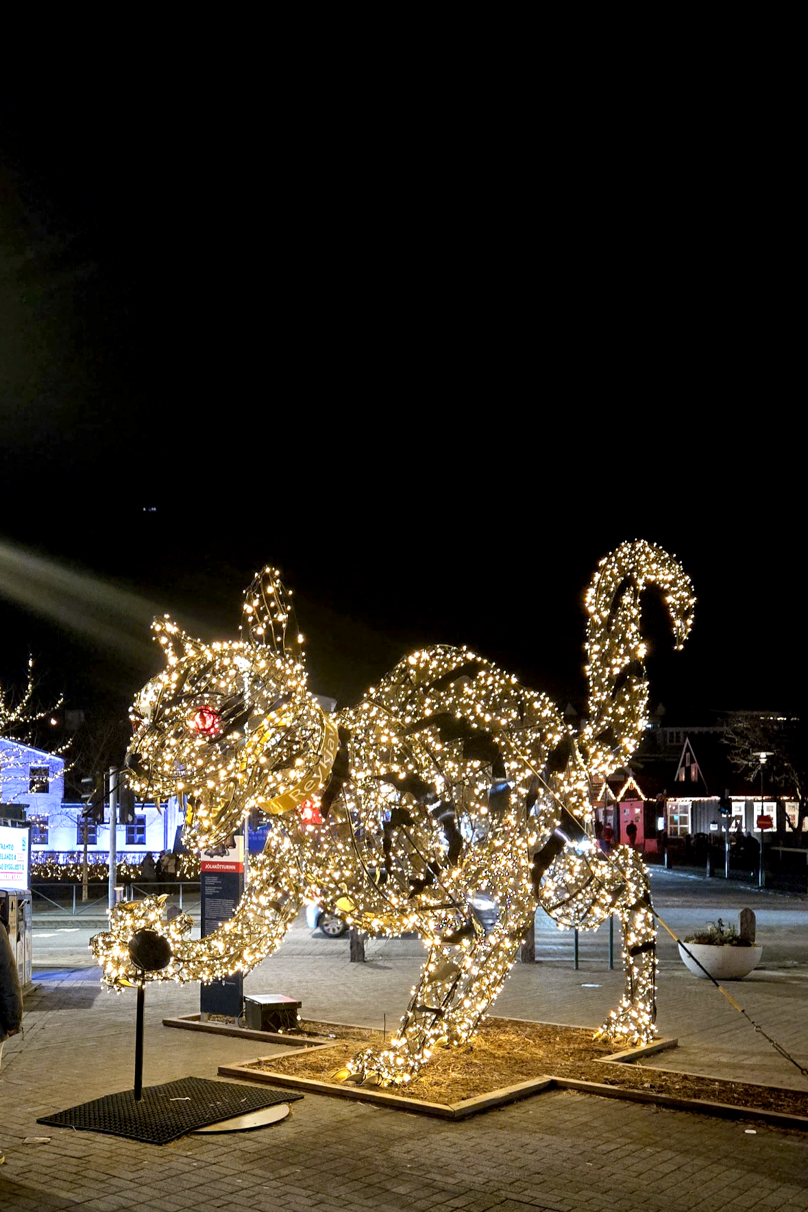 A large illuminated sculpture of a camel decorated with many small white lights stands on a platform outside at night.