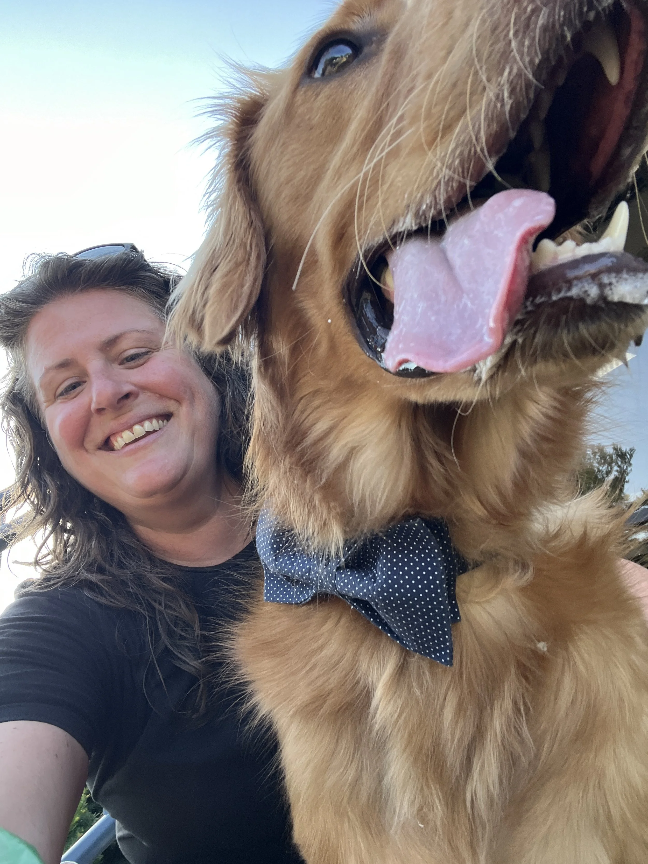 A per smiling and taking a selfie with a large golden retriever dog wearing a blue polka dot bow tie. The dog has its tongue out and close to the camera.
