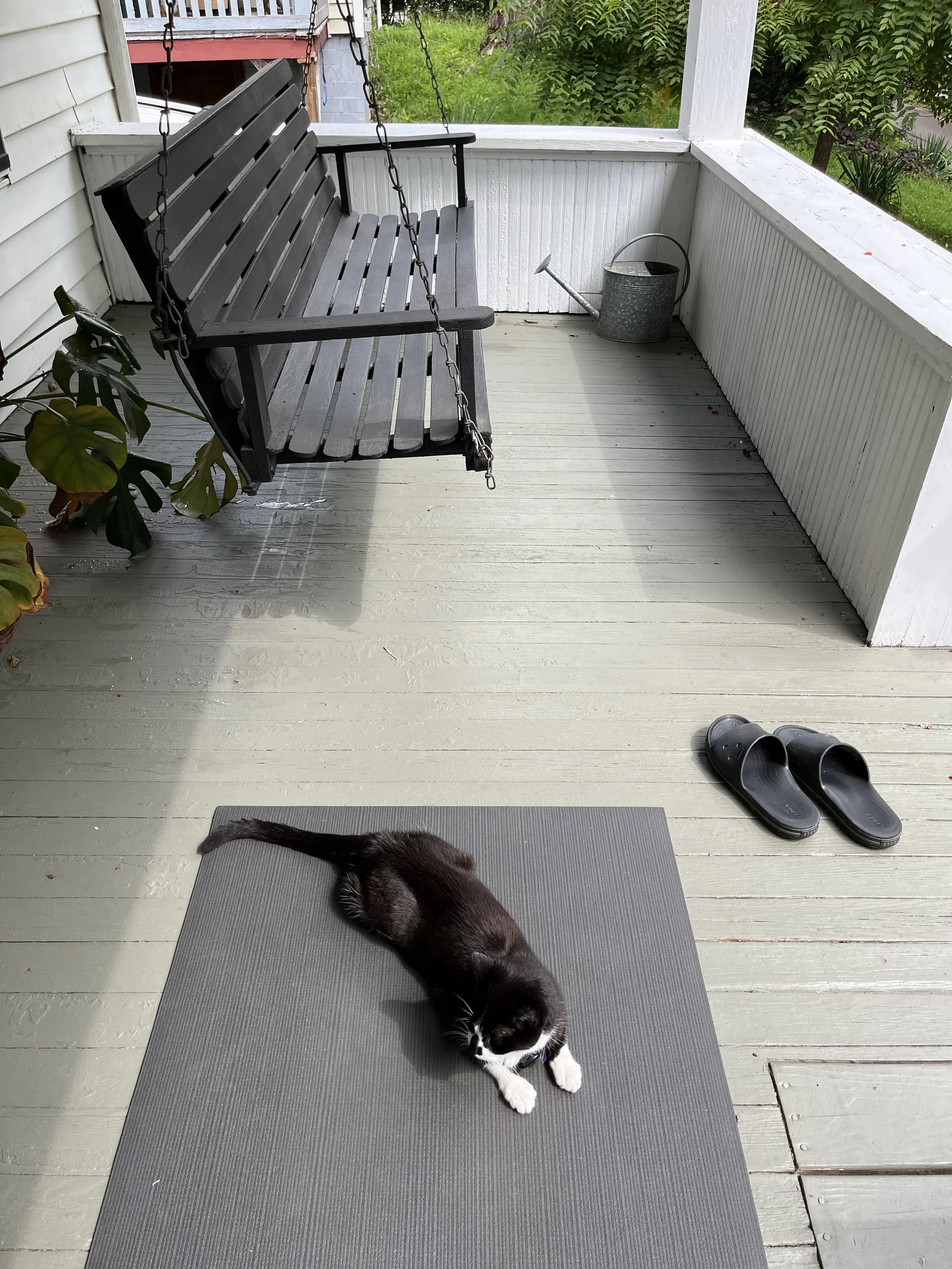 A porch with a black cat lying on a gray mat, a pair of black slip-on shoes, a metal watering can in the corner, a black porch swing, and greenery in the background.