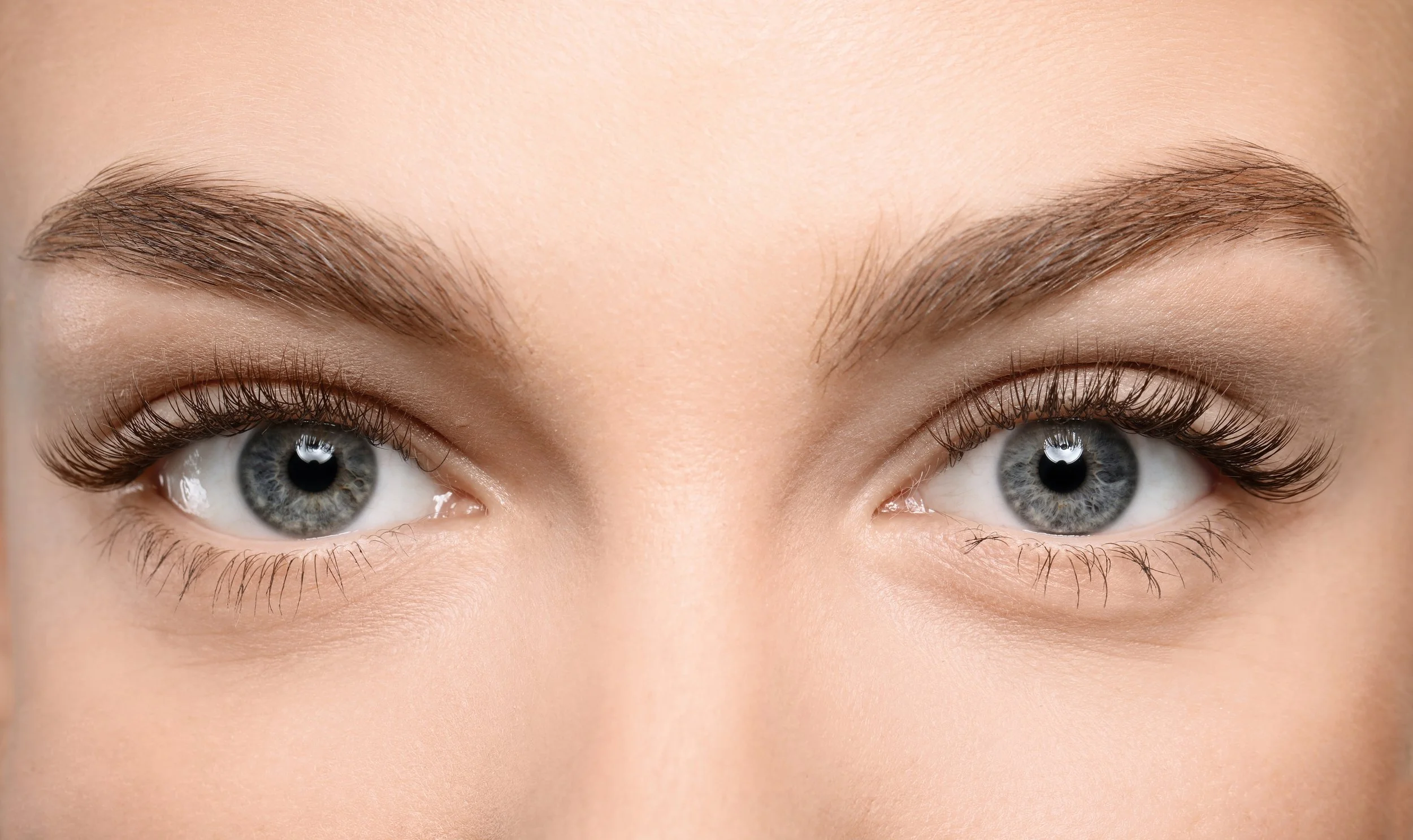 Close-up of a woman's blue eyes and well-groomed eyebrows.