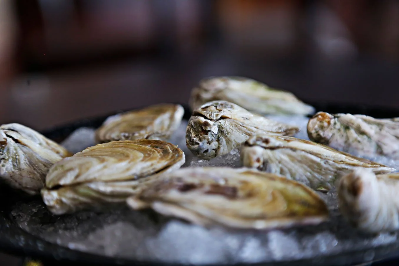 Oysters on a grill cooking.