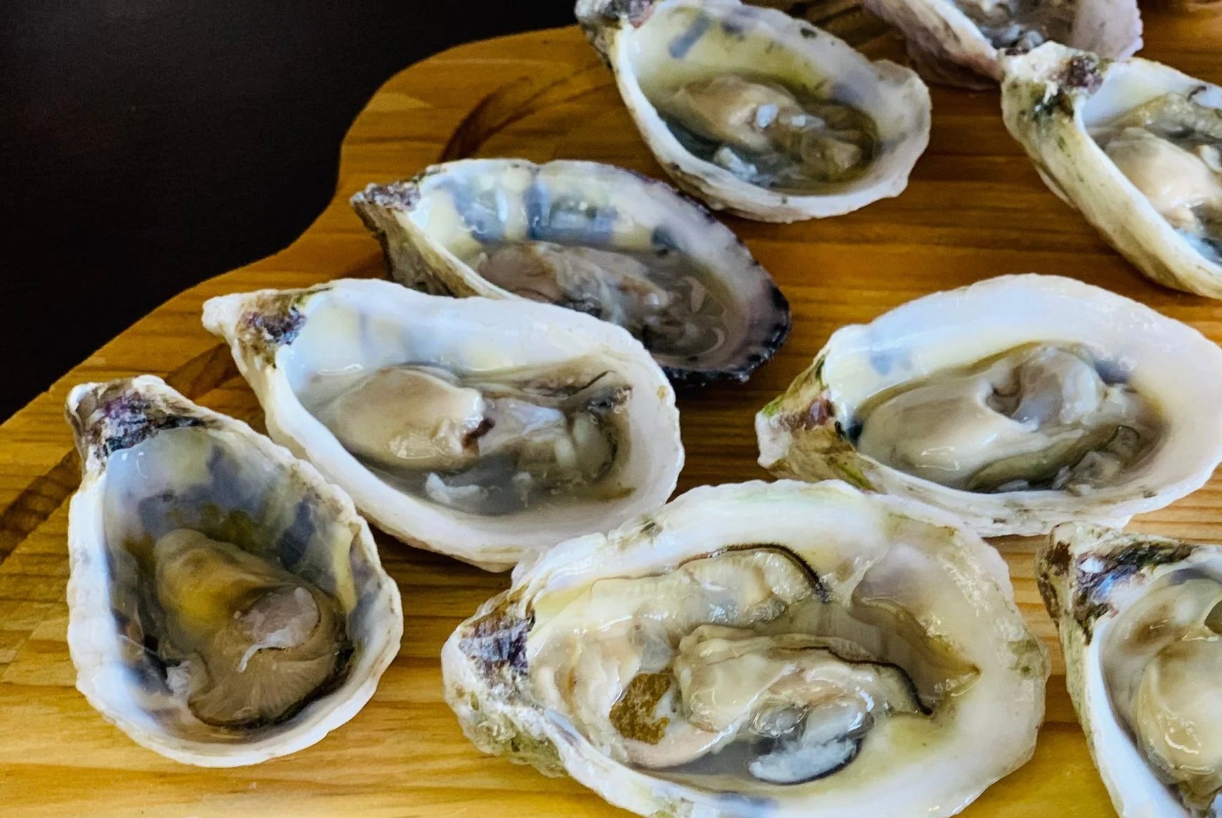 Close-up of several fresh oysters with shells open, placed on a wooden surface.