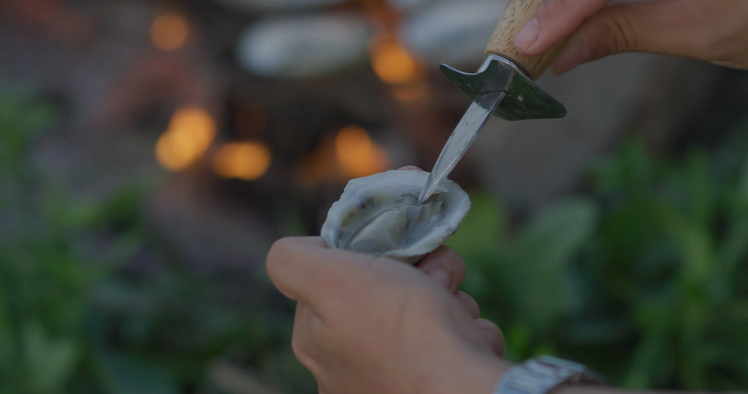A person shucking an oyster with a knife outdoors, with blurred greenery and warm lighting in the background.