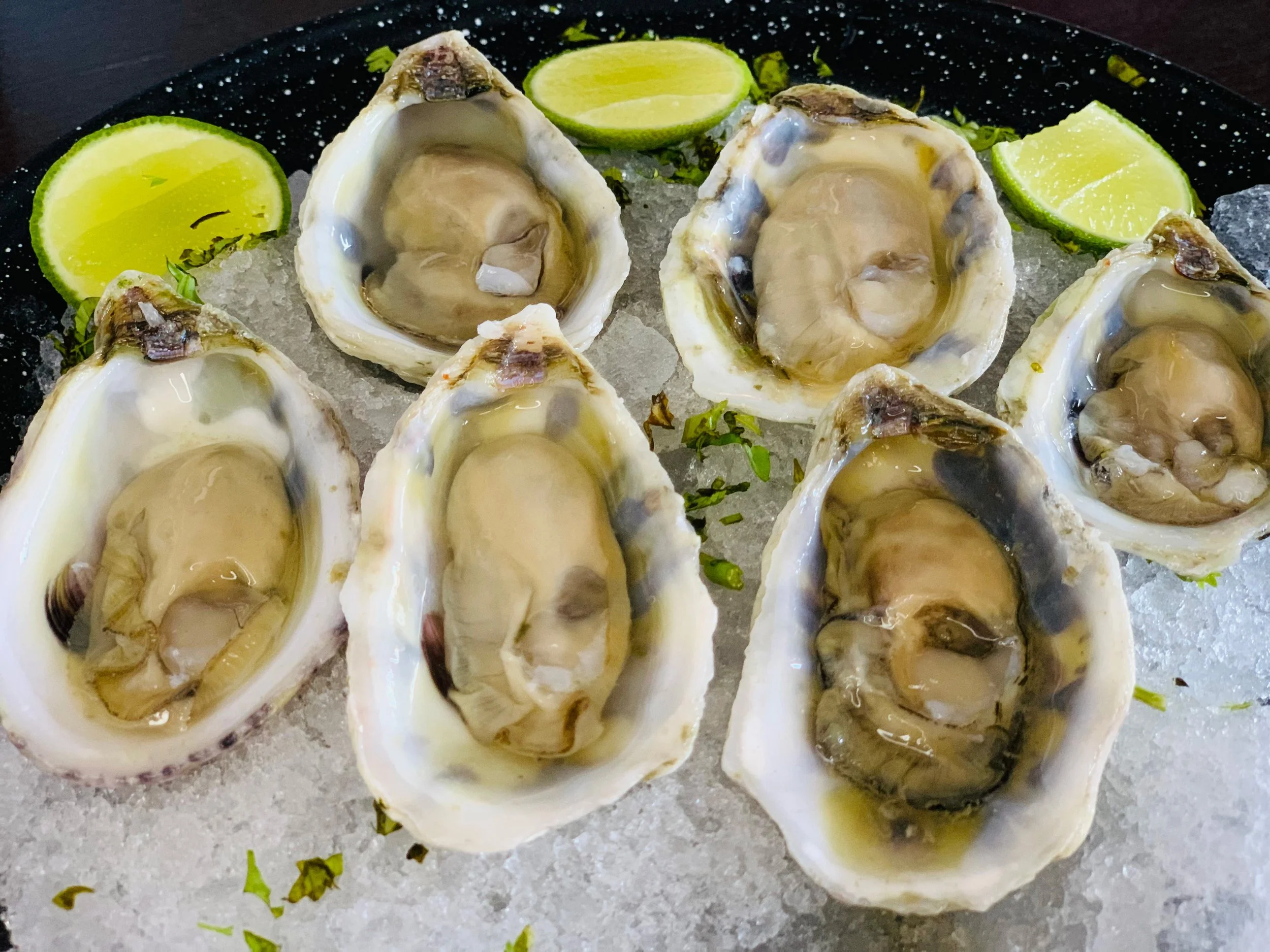 A black plate contains several fresh oysters on the half shell, served on crushed ice with lemon wedges and chopped herbs.