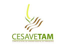 CESAVETAM logo with stylized green and brown plant-like design and text.