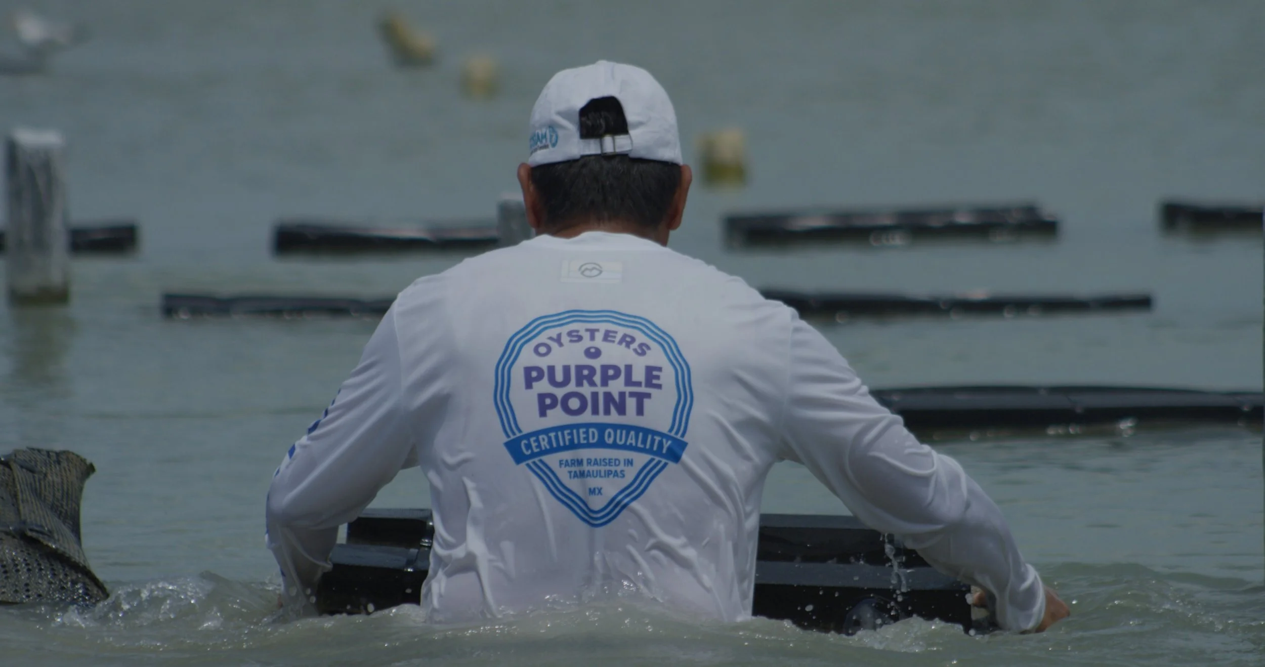 Back of a person wearing a white jacket with a blue and purple 'Purple Point' logo, standing in water near floating docks or platforms.