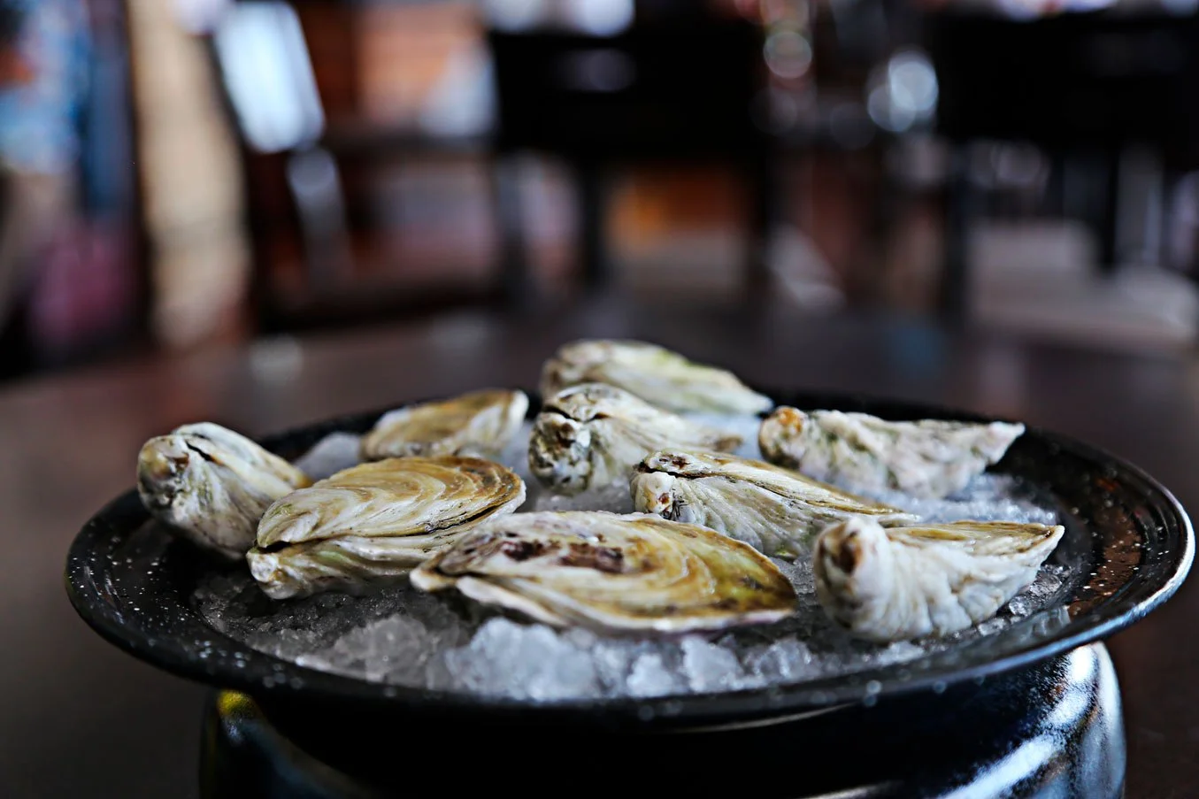 Oysters on a bed of ice served on a black plate in a restaurant setting.