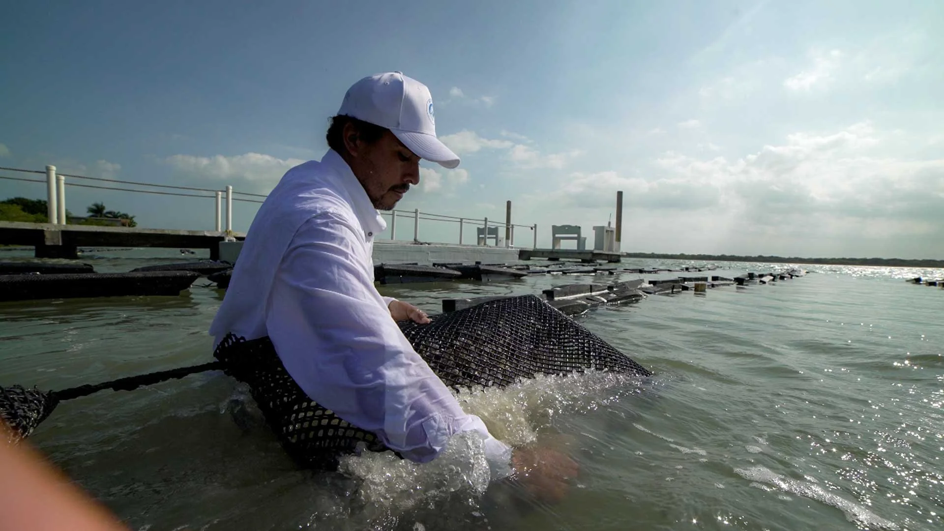 A man in a white long-sleeve shirt and white cap stands in shallow water near a dock, holding a black fish trap or net. The background shows a partly cloudy sky and a dock with white posts and a small structure.