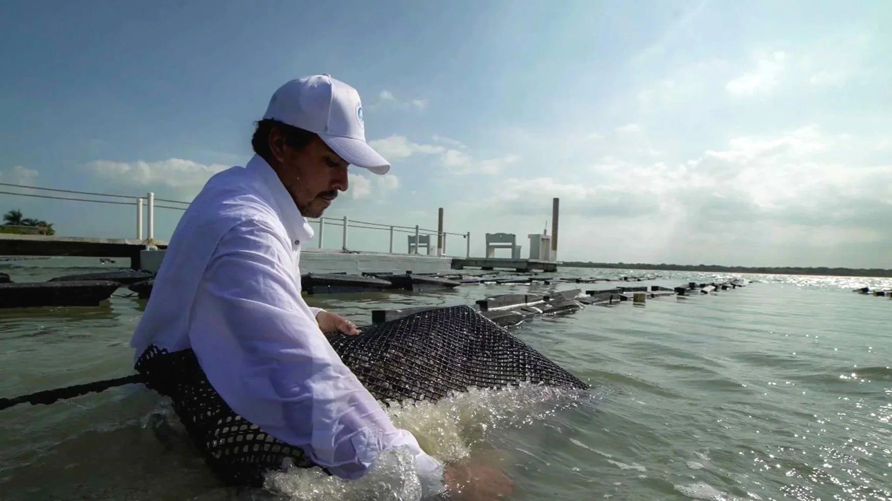 Man releasing a fish from a net into the water at a dock on a sunny day.