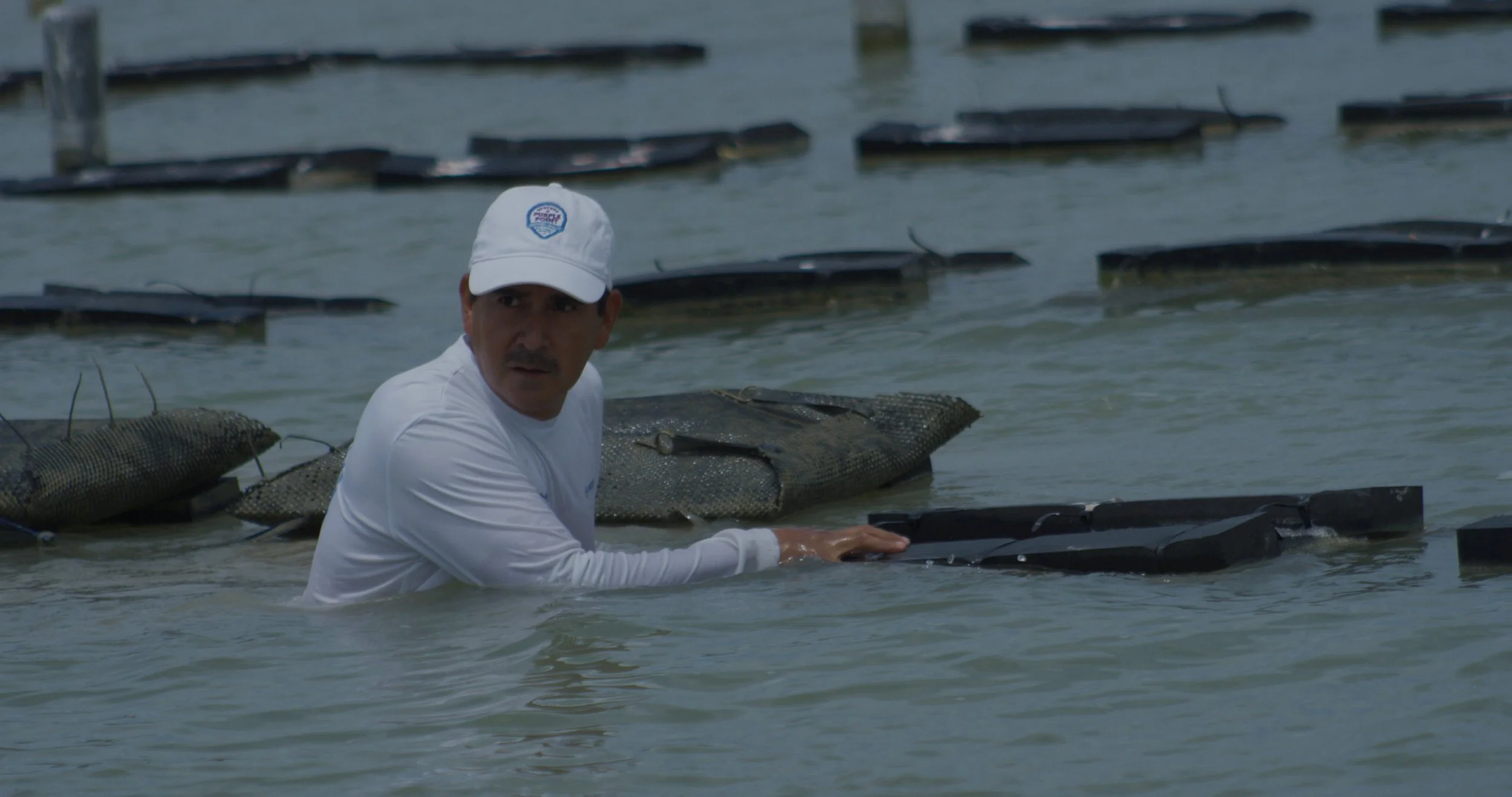 A man wearing a white cap and long-sleeve shirt is in shallow water, holding a black object, with floating fish in the background.