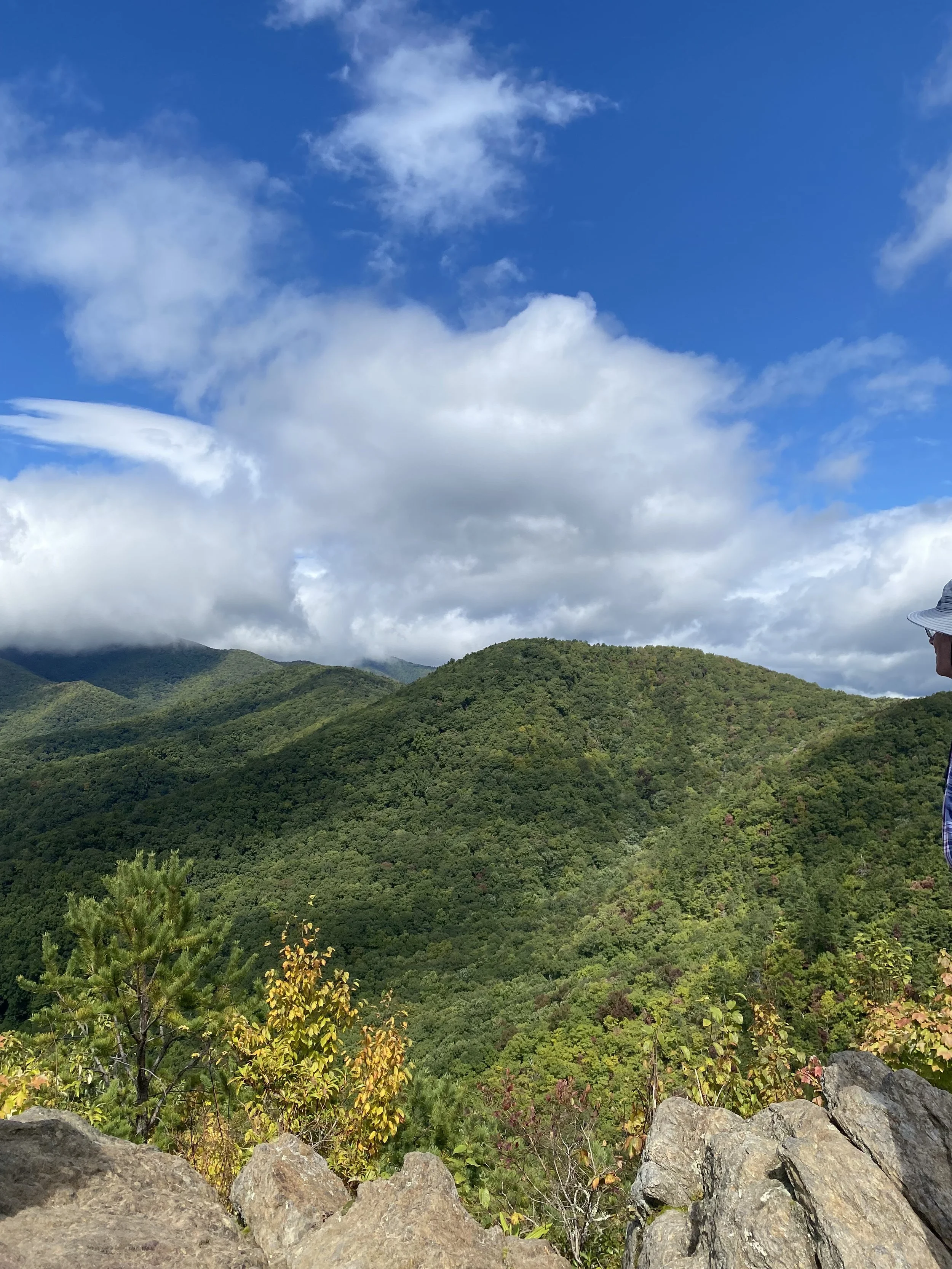 View of green forested mountains under a partly cloudy blue sky.