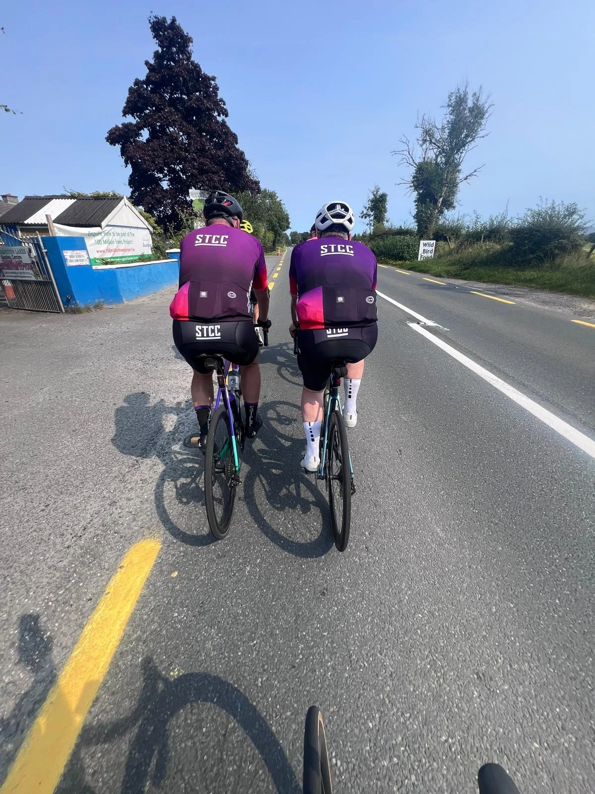 THE QUINTESSENTIAL SUNDAY SPIN