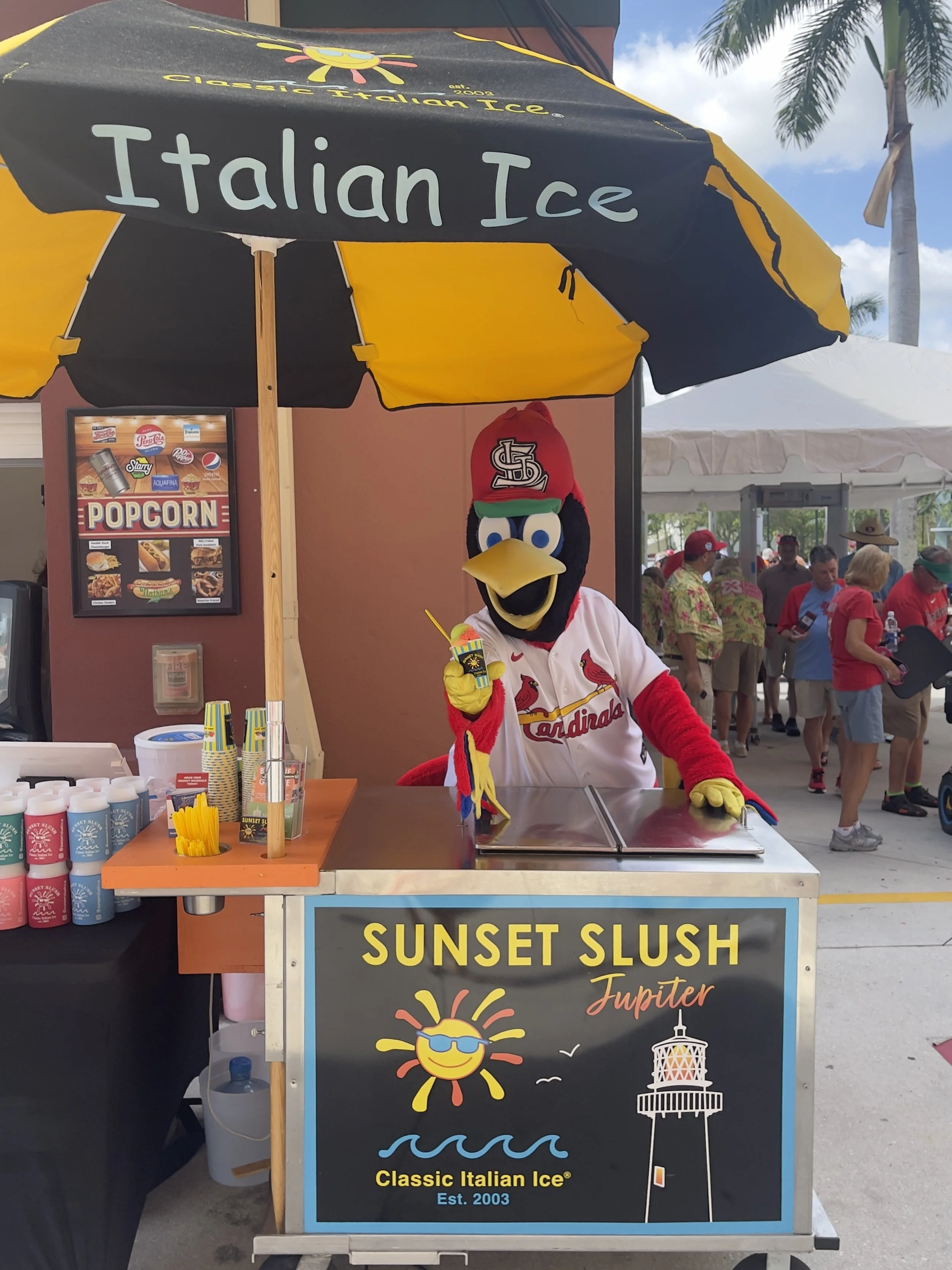 A person in a Cardinal's mascot costume wearing a St. Louis Cardinals baseball jersey and hat, selling sunset slush drinks at an outdoor stand under a large black and yellow umbrella labeled 'Italian Ice,' with a sign promoting classic Italian ice called Sunset Slush Jupiter, featuring a smiling sun with sunglasses, and a lighthouse.