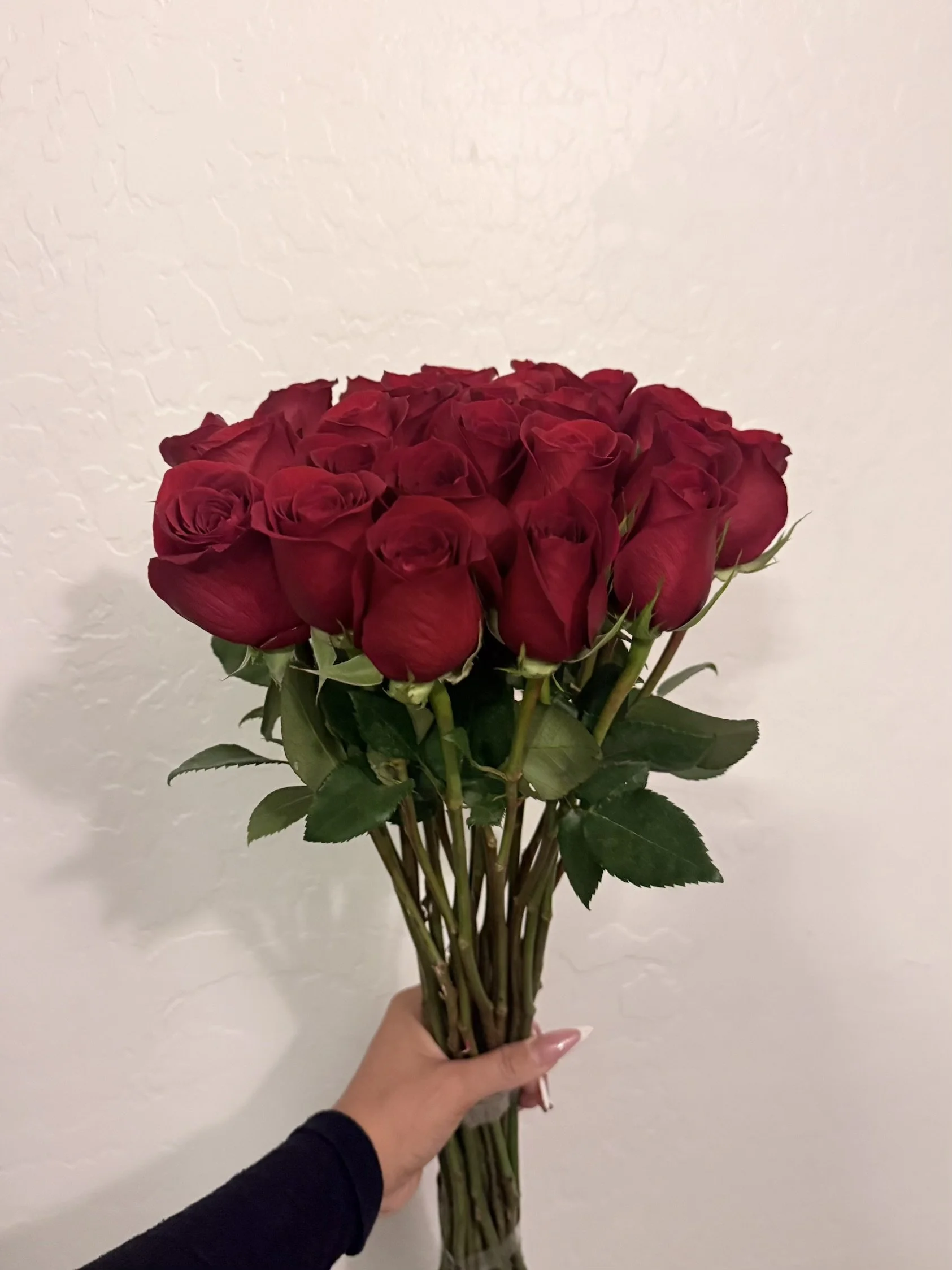 A hand holding a bouquet of red roses against a plain white textured wall.