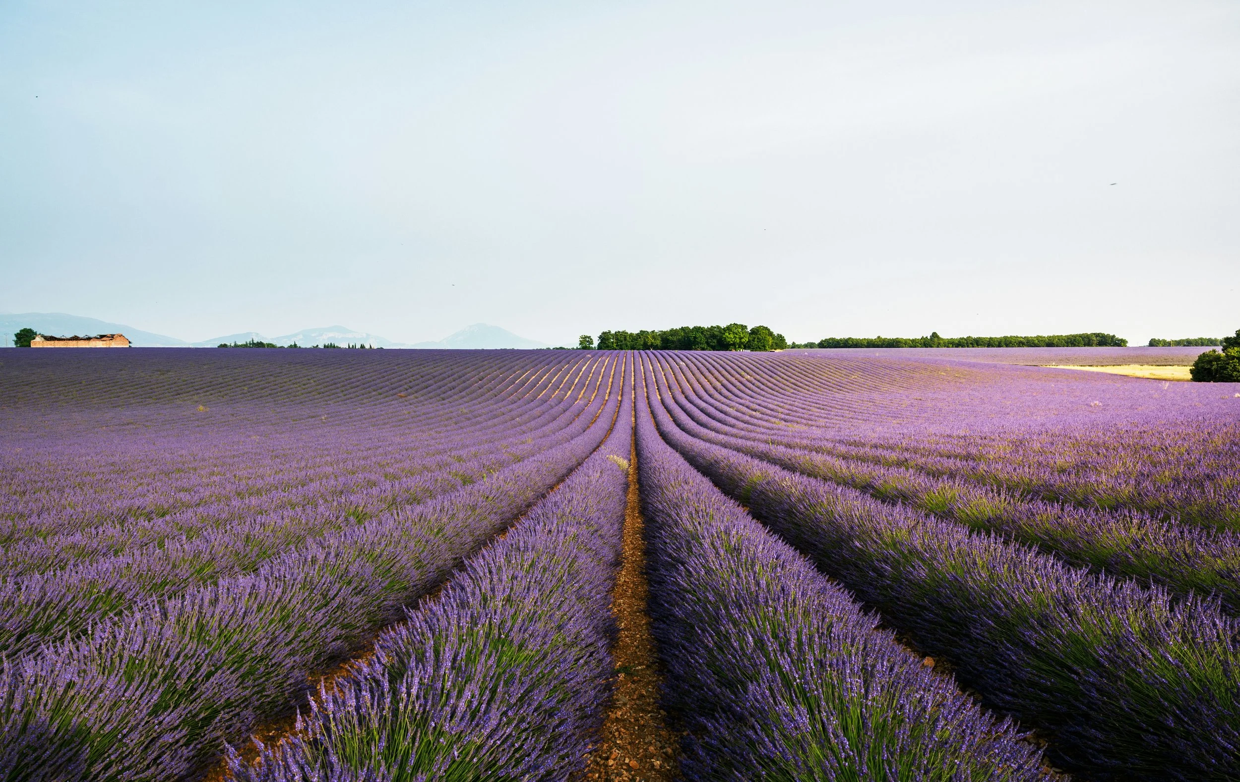 Experience  Southern France on Viking’s Leon &amp; Provence