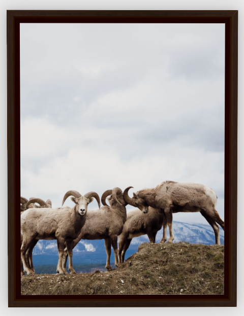 Guardians of the Rockies (12" × 16")