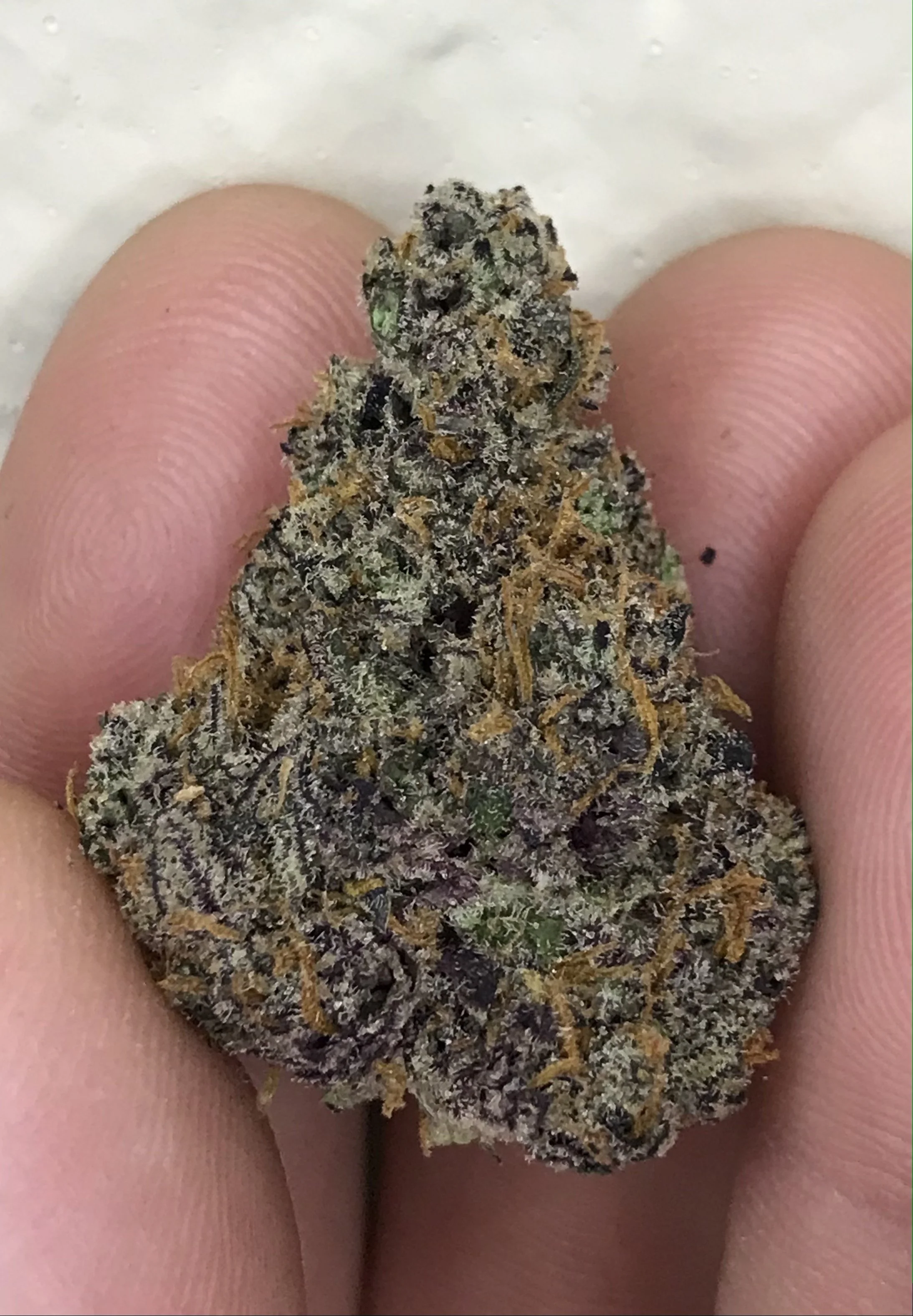 Candy Paint X Glitterbox