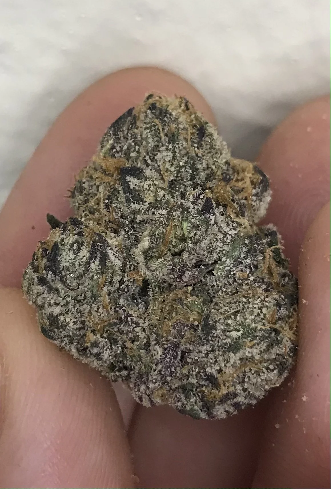 Pink Elephant (Pink Runtz X E85 Organic)